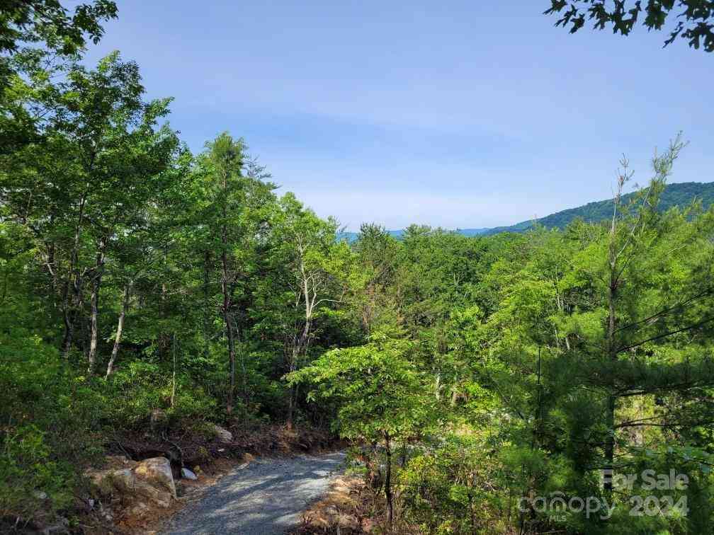 Lot 12/13B Quail Drive, Marion, North Carolina image 3