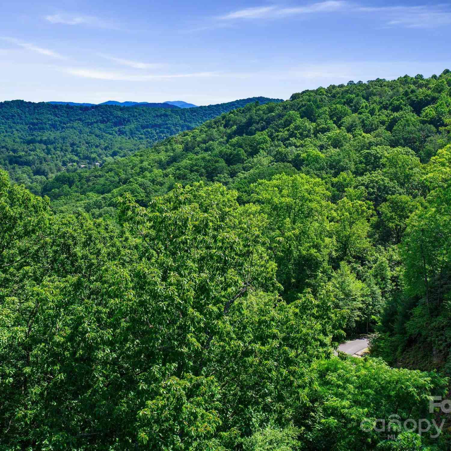 0000 Winterview Trail #1, Hendersonville, North Carolina image 18