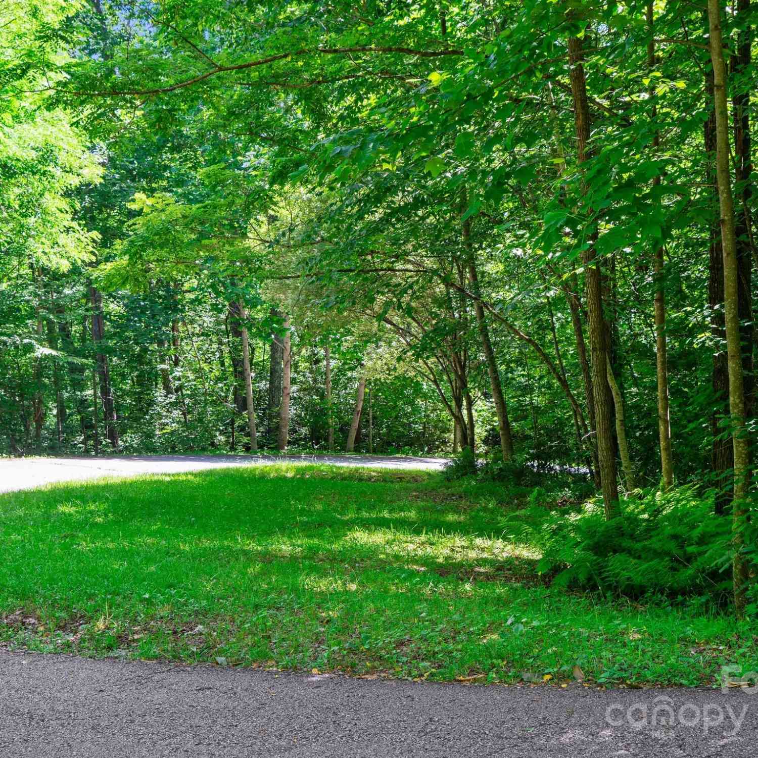 0000 Winterview Trail #1, Hendersonville, North Carolina image 11