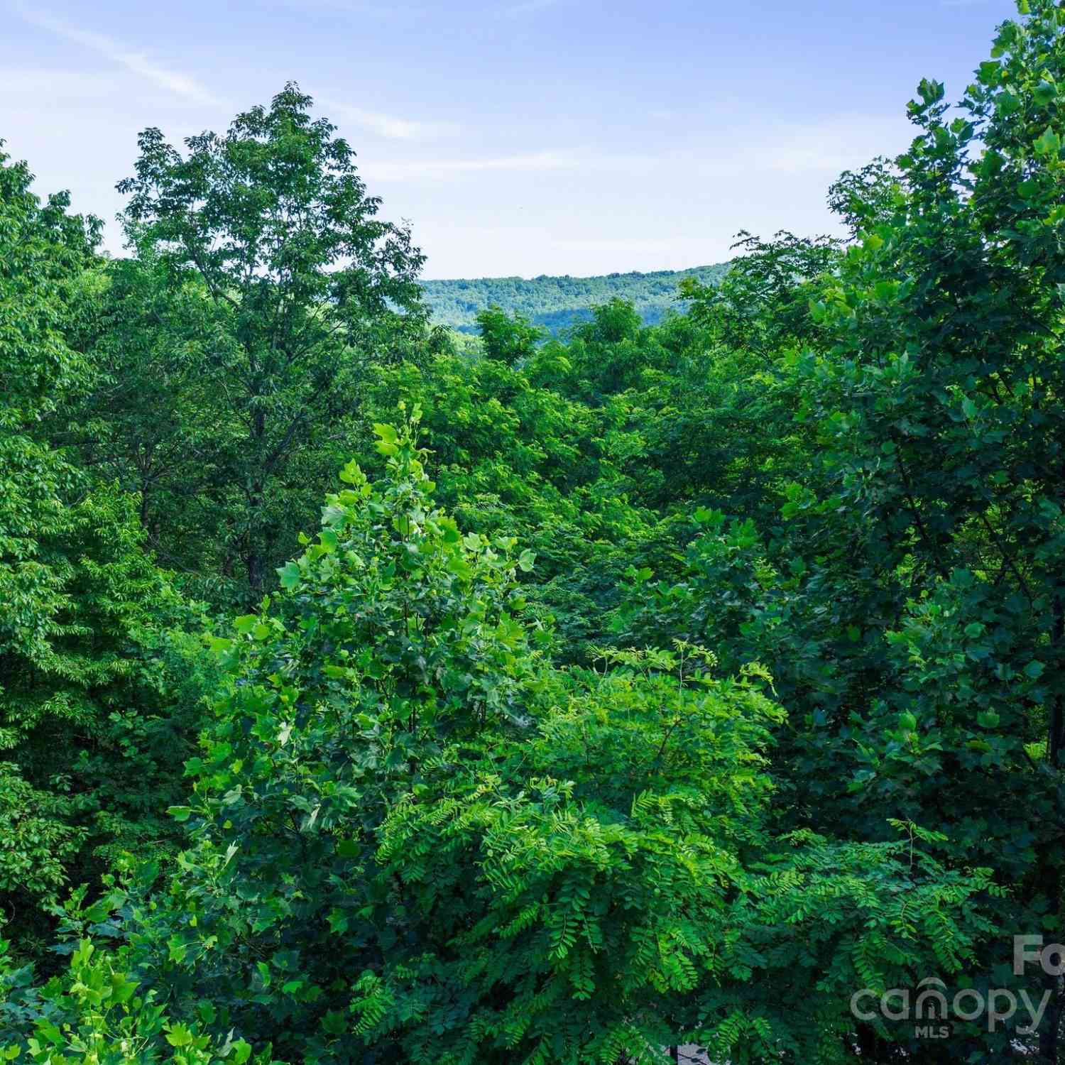 0000 Winterview Trail #1, Hendersonville, North Carolina image 24
