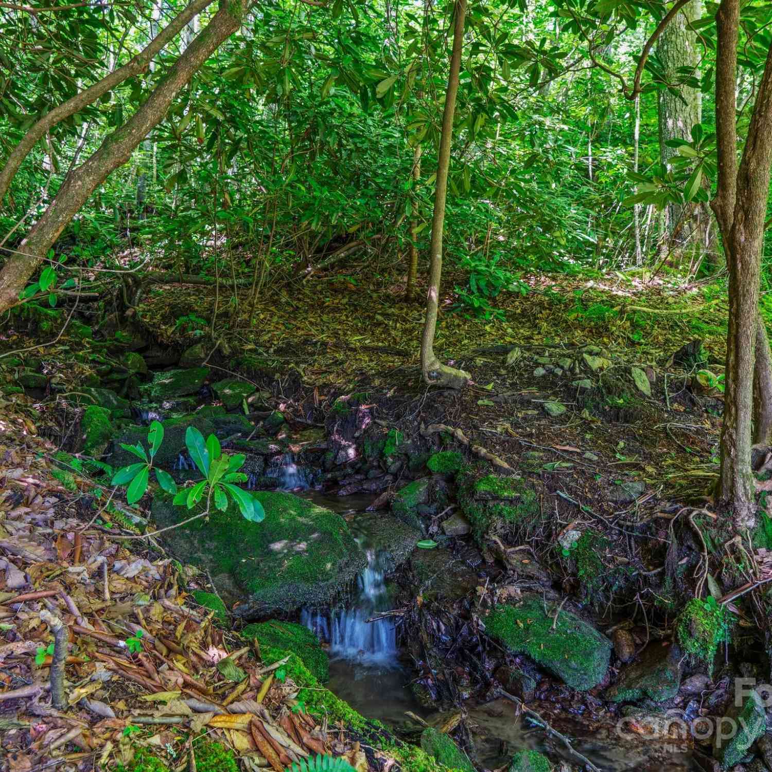 0000 Winterview Trail #1, Hendersonville, North Carolina image 3