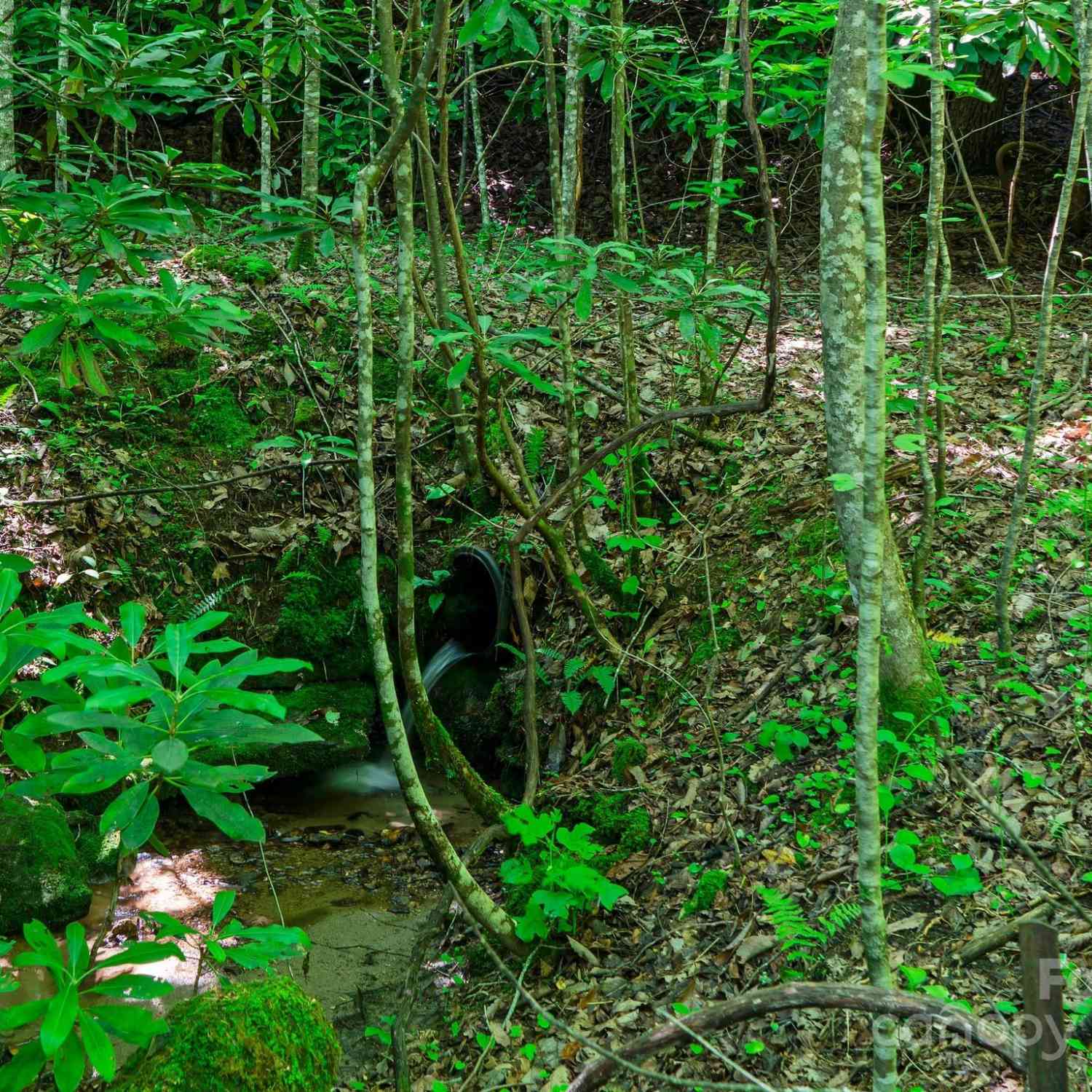 0000 Winterview Trail #1, Hendersonville, North Carolina image 25