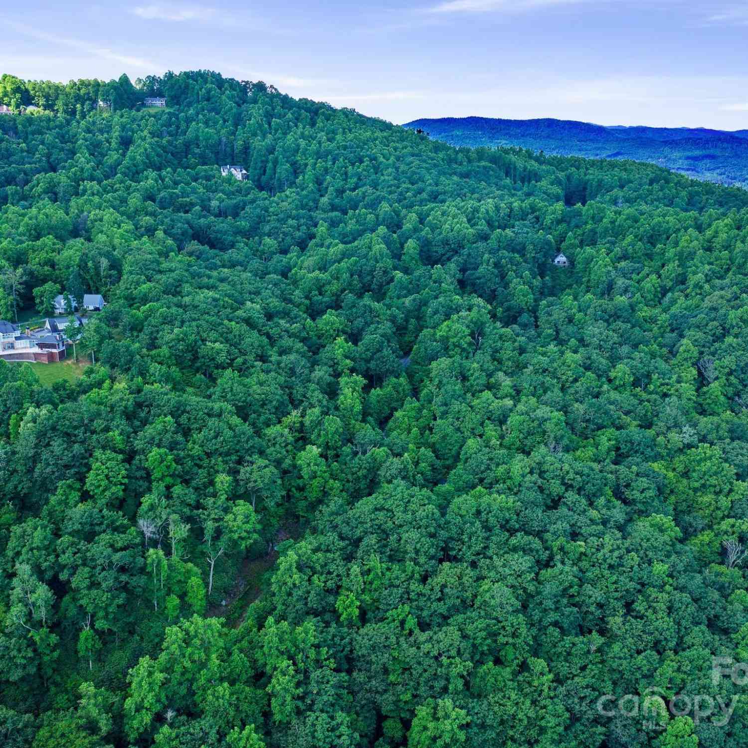 0000 Winterview Trail #1, Hendersonville, North Carolina image 33