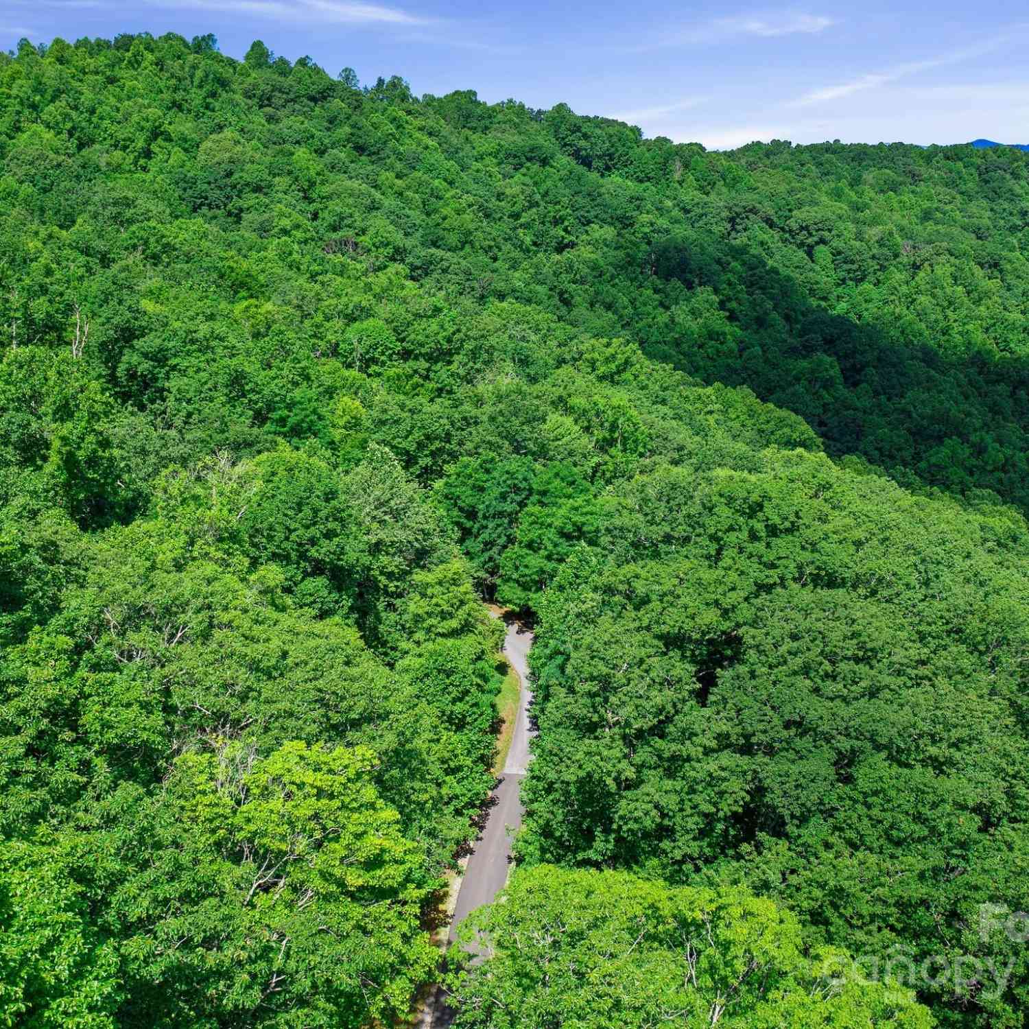 0000 Winterview Trail #1, Hendersonville, North Carolina image 8