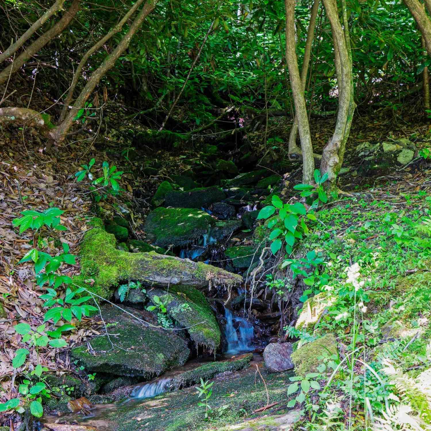 0000 Winterview Trail #1, Hendersonville, North Carolina image 31