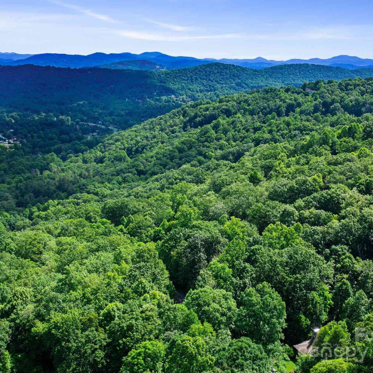 0000 Winterview Trail #1, Hendersonville, North Carolina image 20