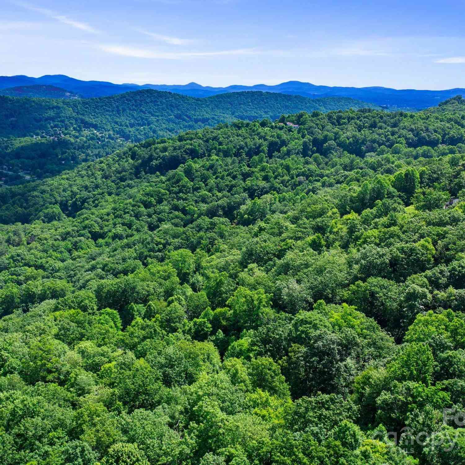 0000 Winterview Trail #1, Hendersonville, North Carolina image 19
