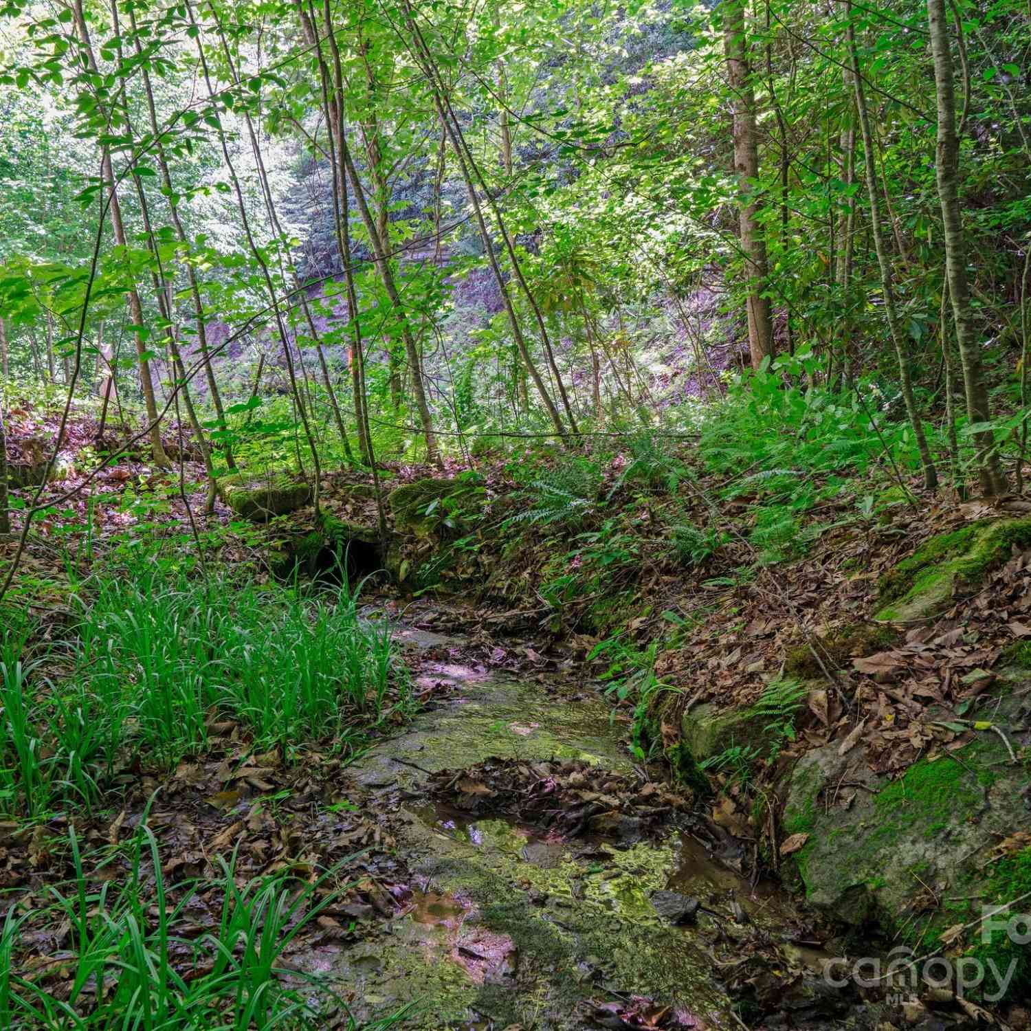 0000 Winterview Trail #1, Hendersonville, North Carolina image 2