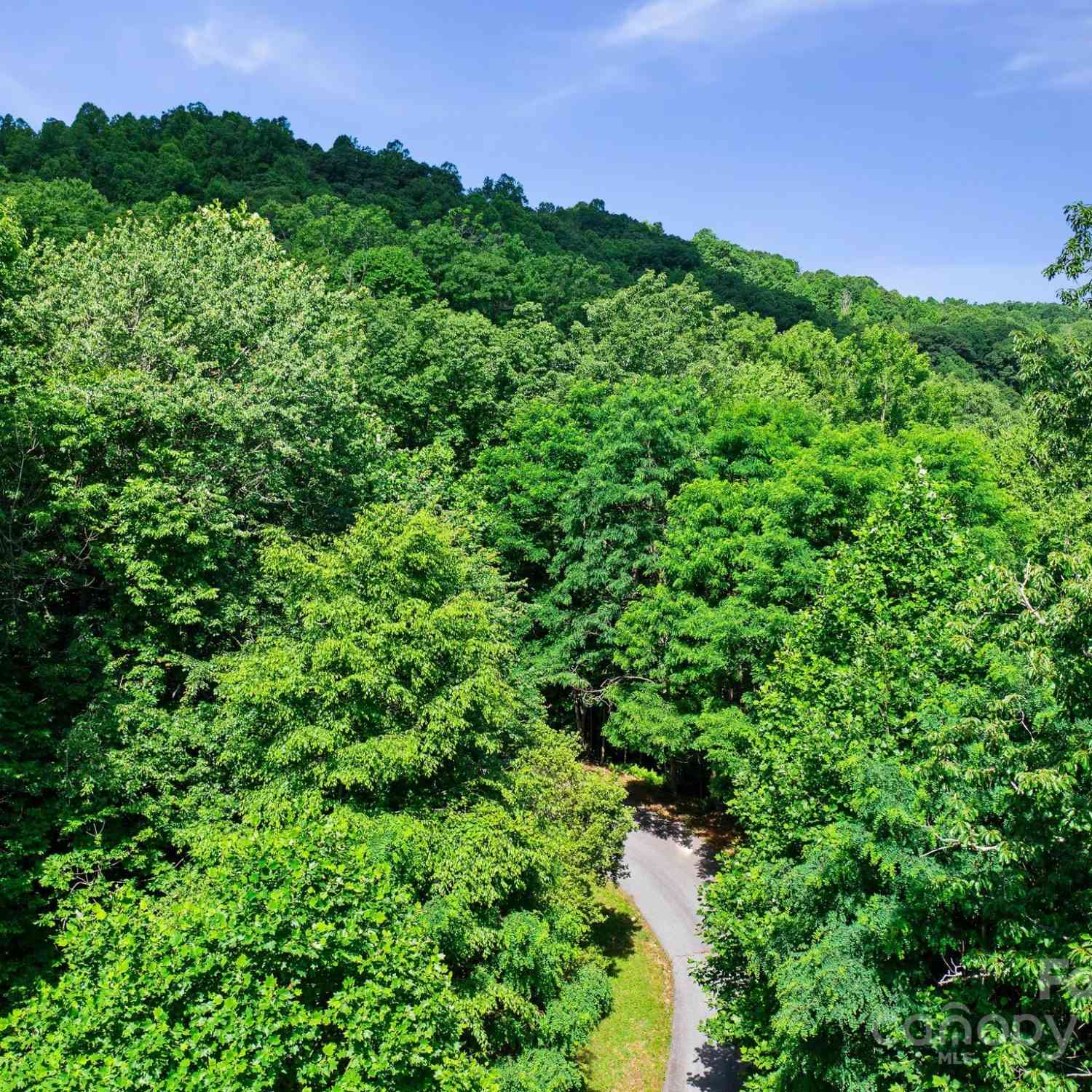 0000 Winterview Trail #1, Hendersonville, North Carolina image 6