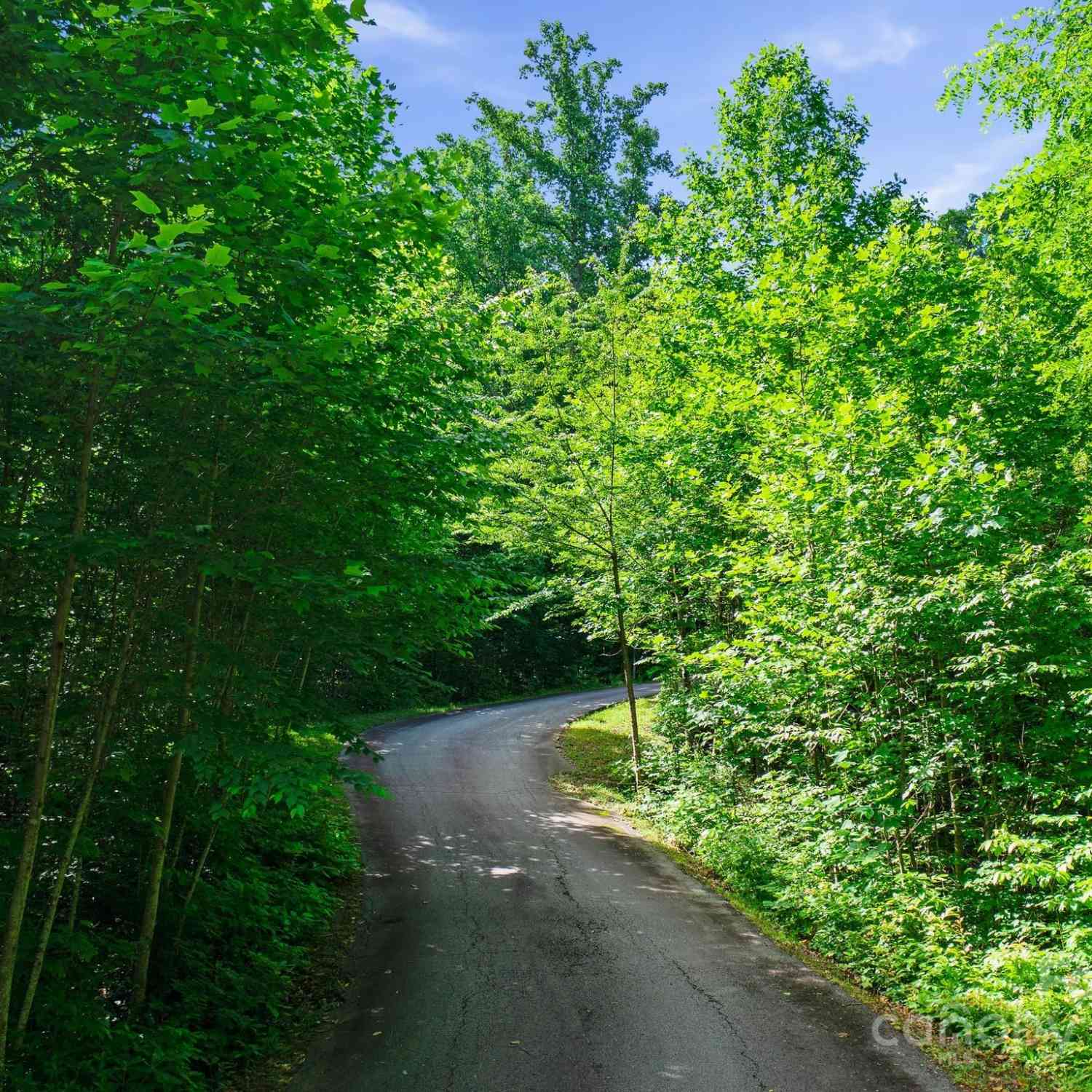0000 Winterview Trail #1, Hendersonville, North Carolina image 7