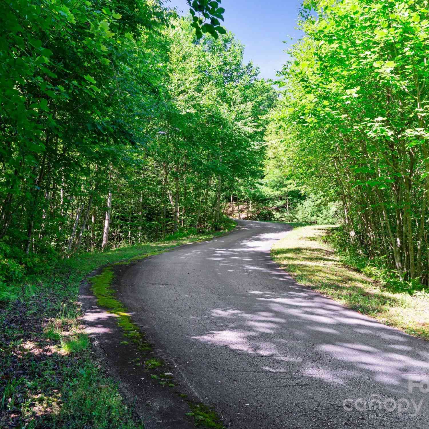 0000 Winterview Trail #1, Hendersonville, North Carolina image 5