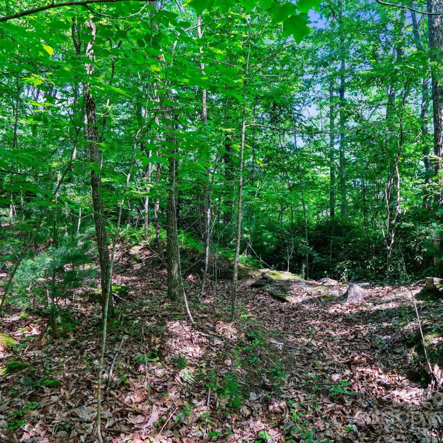0000 Winterview Trail #9, Hendersonville, North Carolina image 25