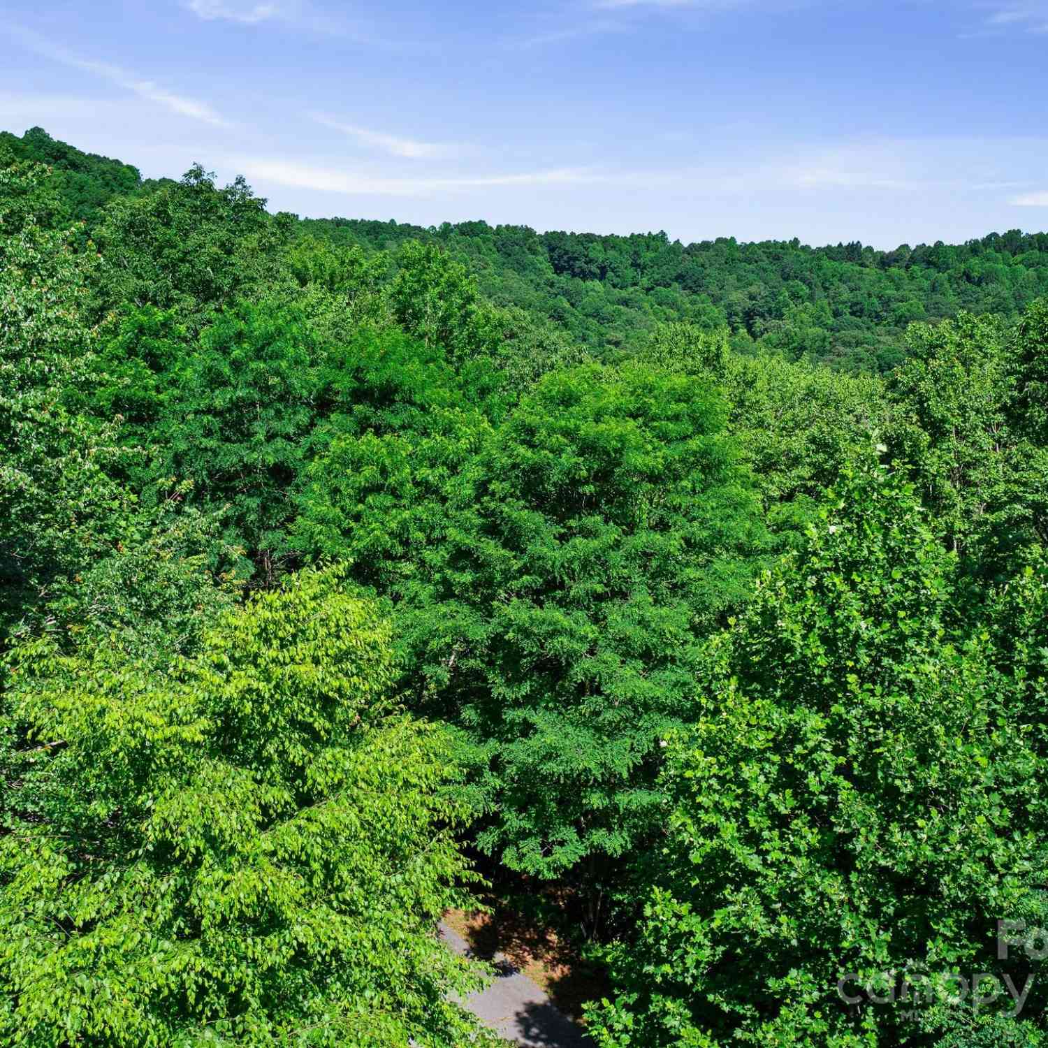 0000 Winterview Trail #9, Hendersonville, North Carolina image 11