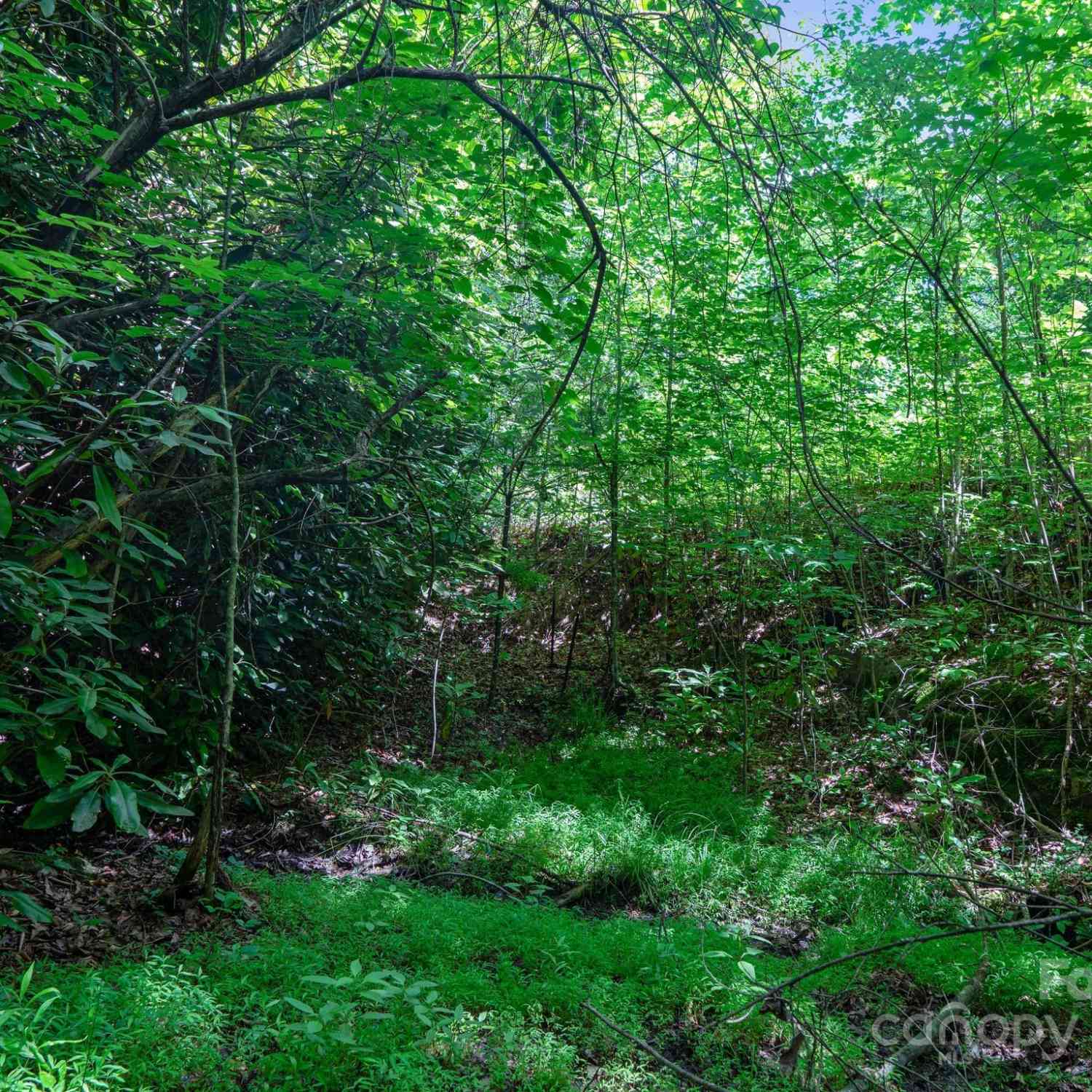 0000 Winterview Trail #9, Hendersonville, North Carolina image 22