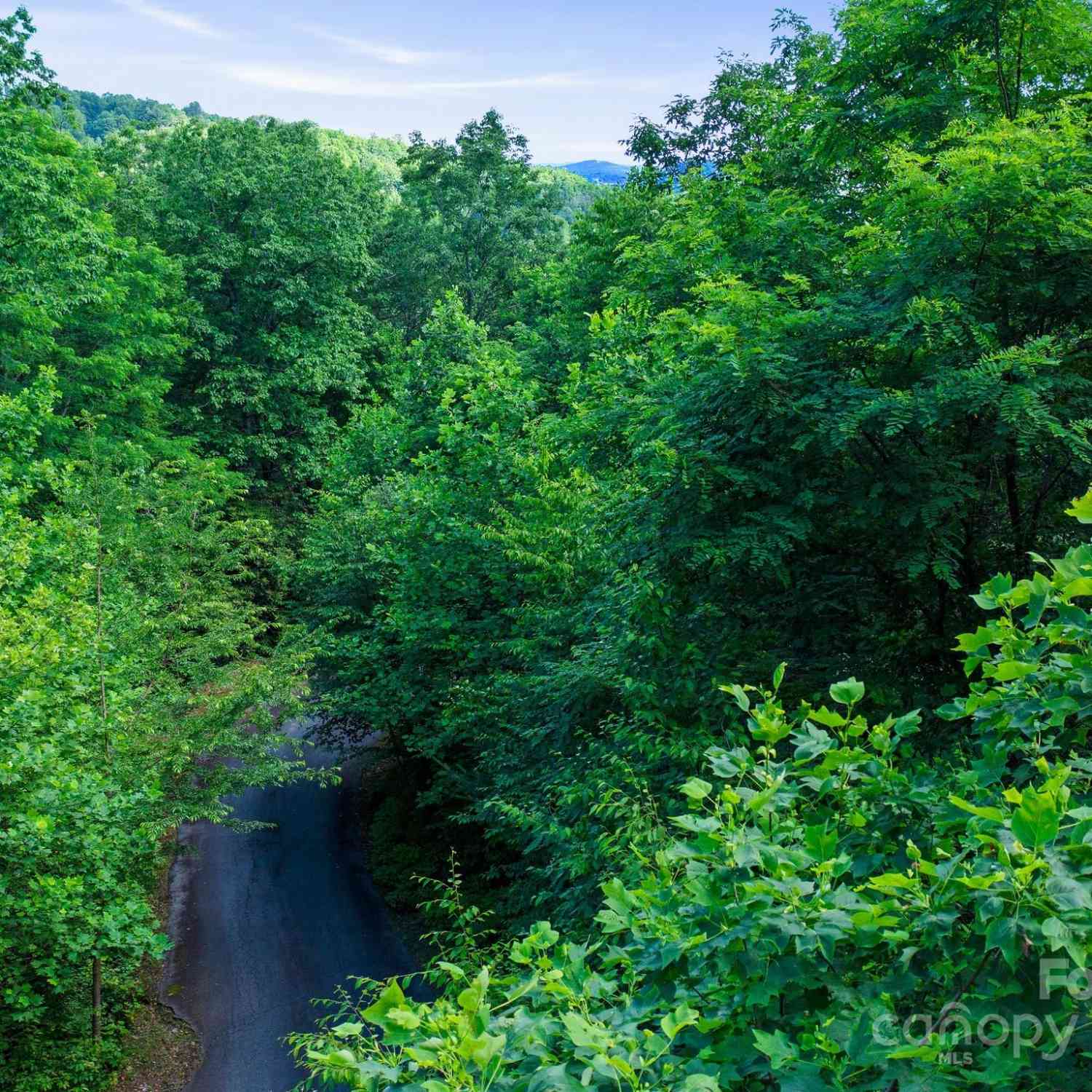0000 Winterview Trail #9, Hendersonville, North Carolina image 9