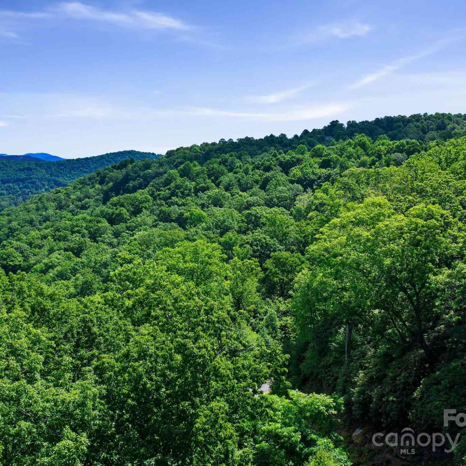 0000 Winterview Trail #9, Hendersonville, North Carolina image 10