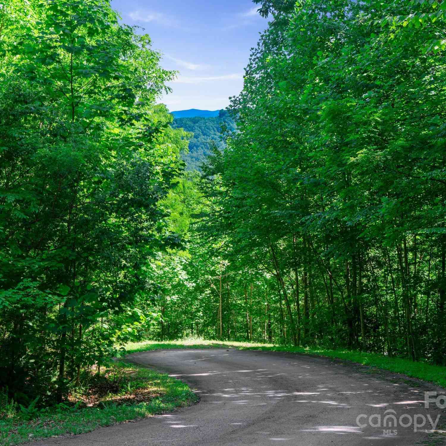 0000 Winterview Trail #9, Hendersonville, North Carolina image 2