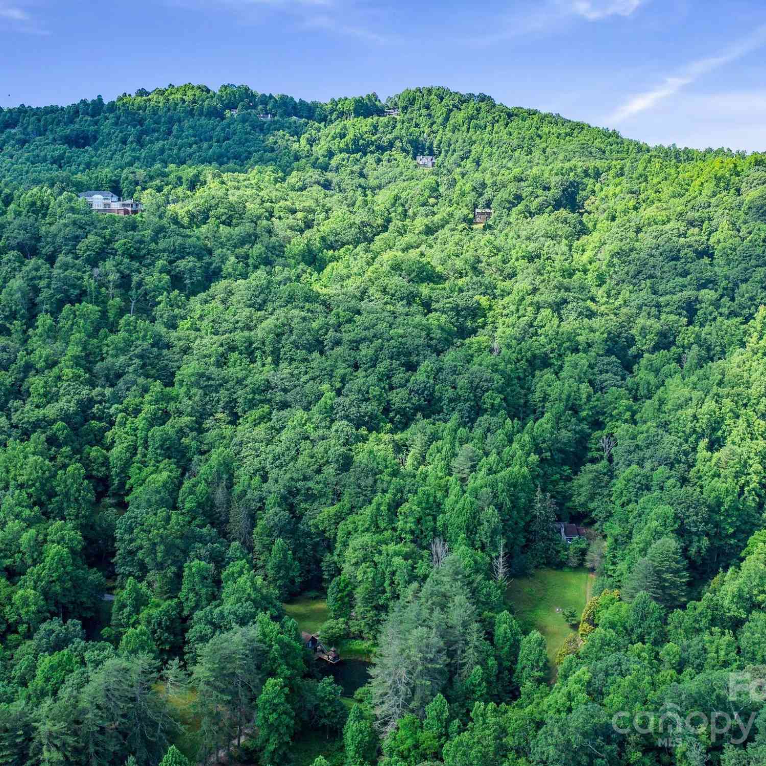 0000 Winterview Trail #9, Hendersonville, North Carolina image 26