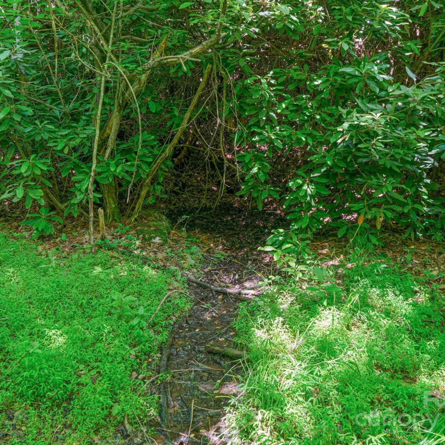 0000 Winterview Trail #9, Hendersonville, North Carolina image 23