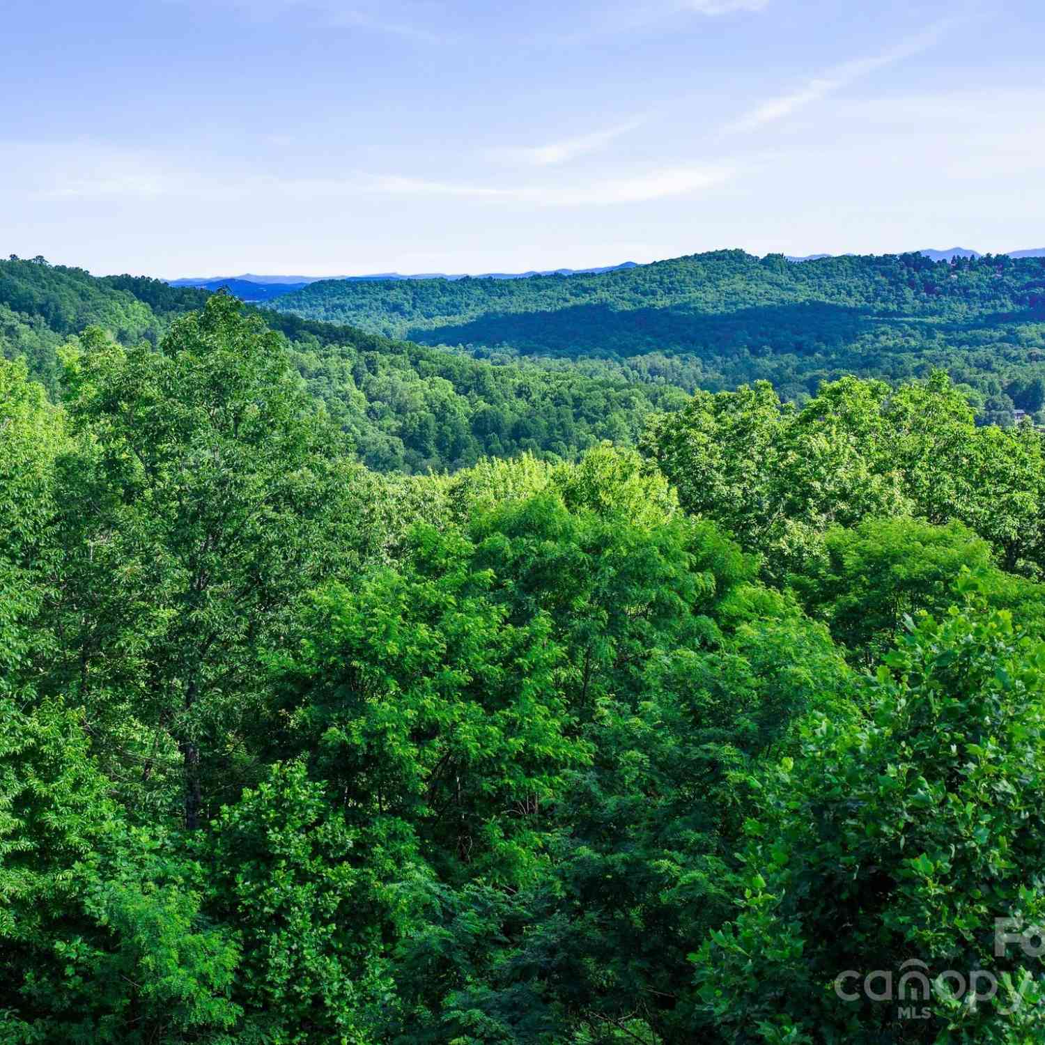 0000 Winterview Trail #9, Hendersonville, North Carolina image 20