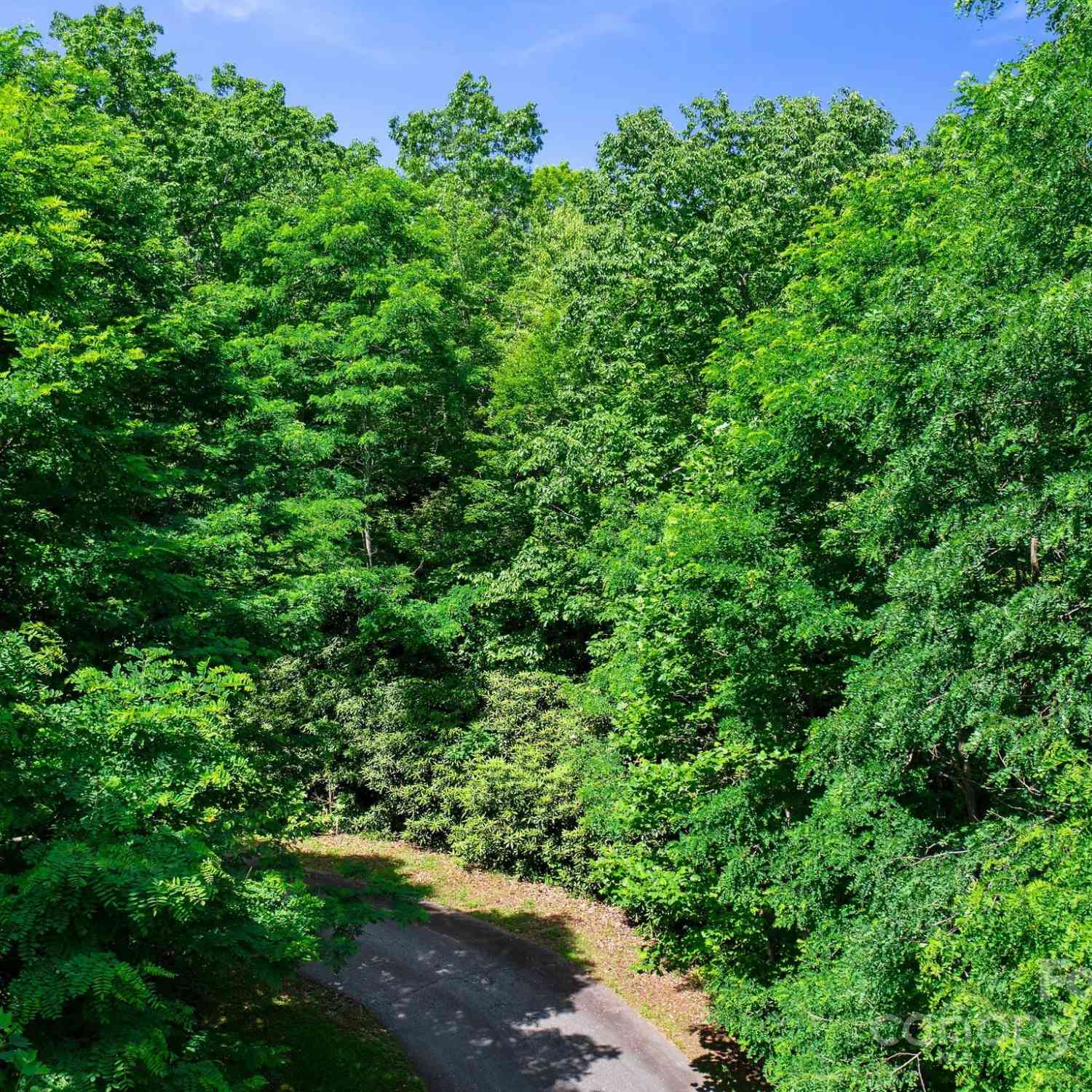 0000 Winterview Trail #9, Hendersonville, North Carolina image 8