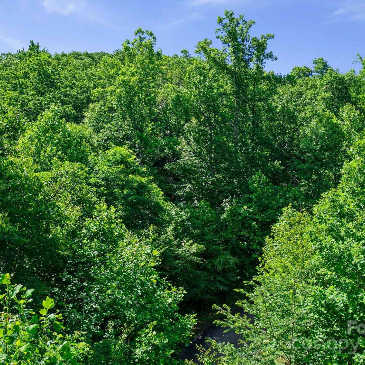 0000 Winterview Trail #9, Hendersonville, North Carolina image 12