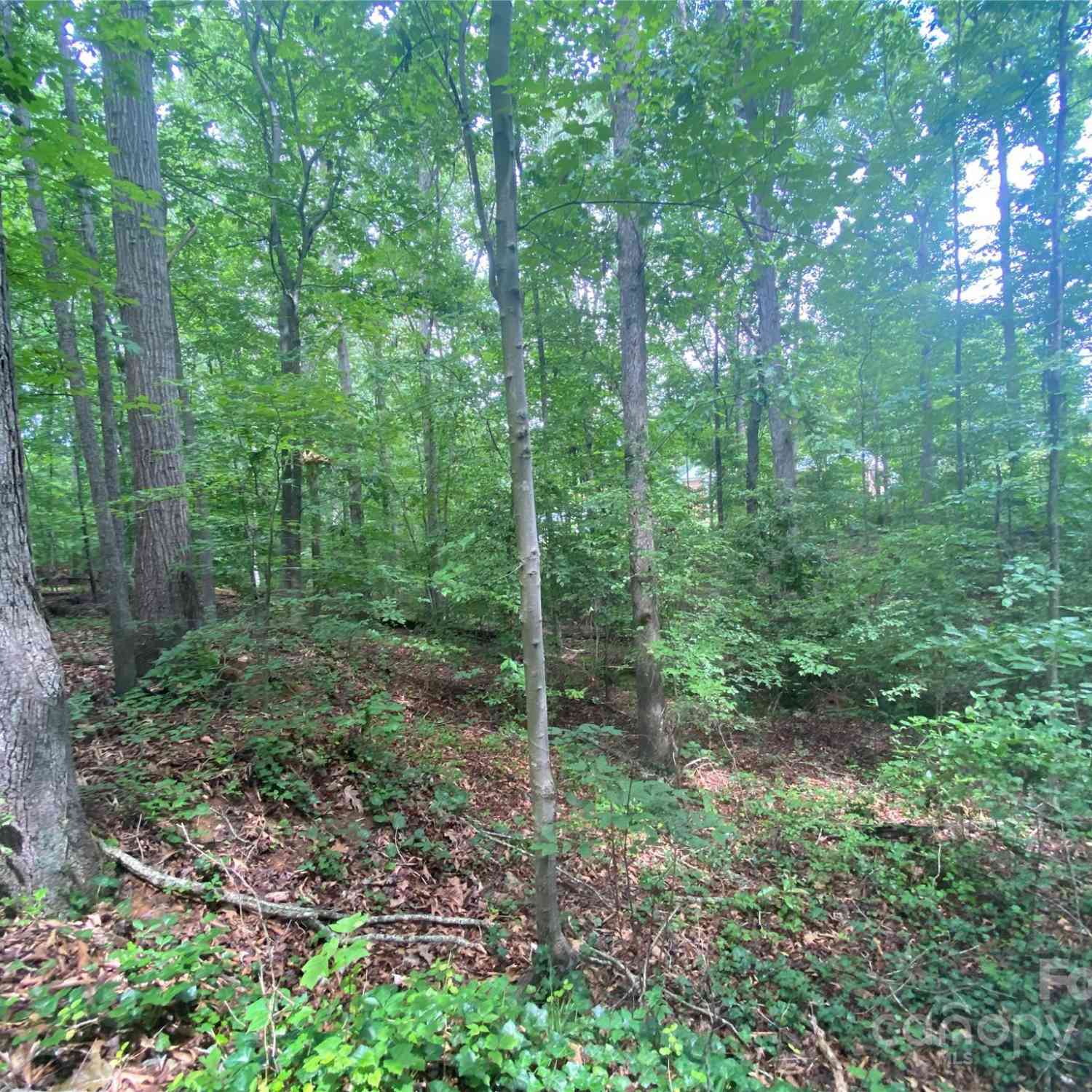 00 Caleb Road, Shelby, North Carolina image 20