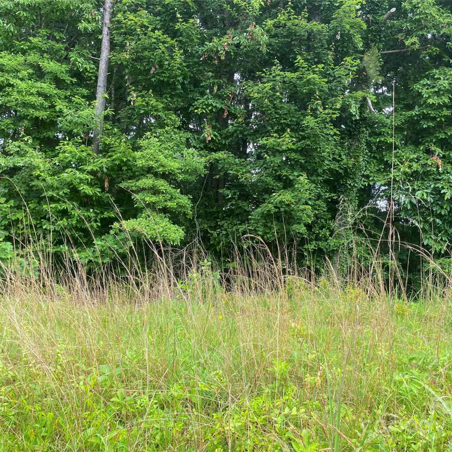 00 Caleb Road, Shelby, North Carolina image 1
