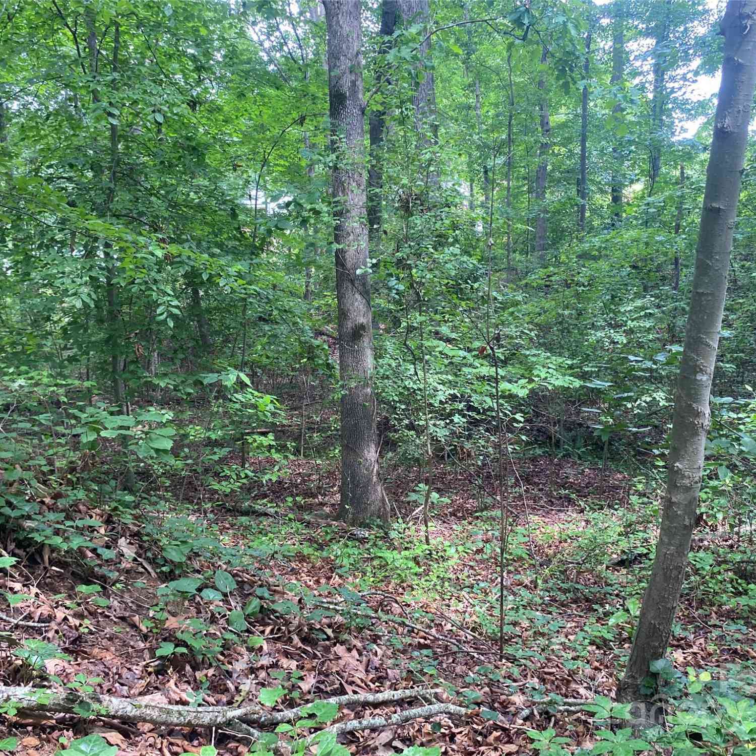 00 Caleb Road, Shelby, North Carolina image 17