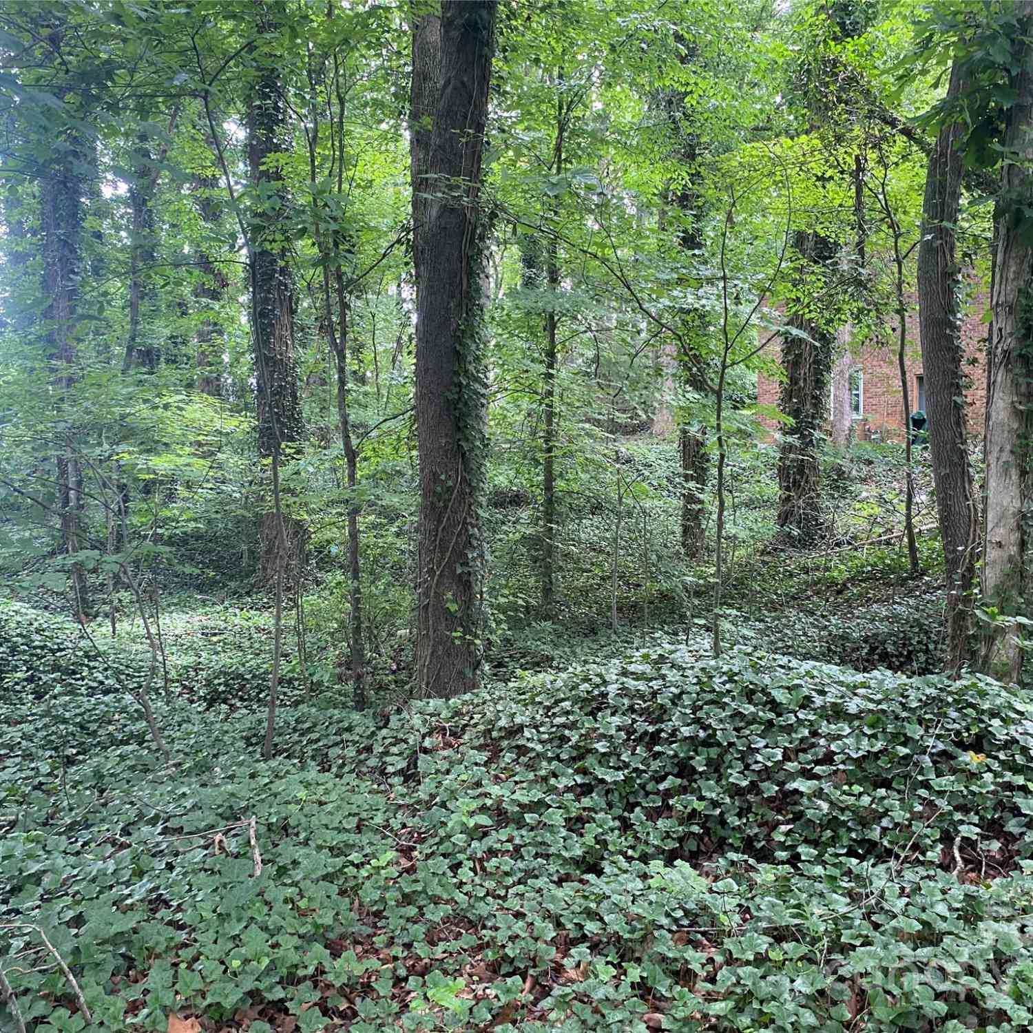00 Caleb Road, Shelby, North Carolina image 13