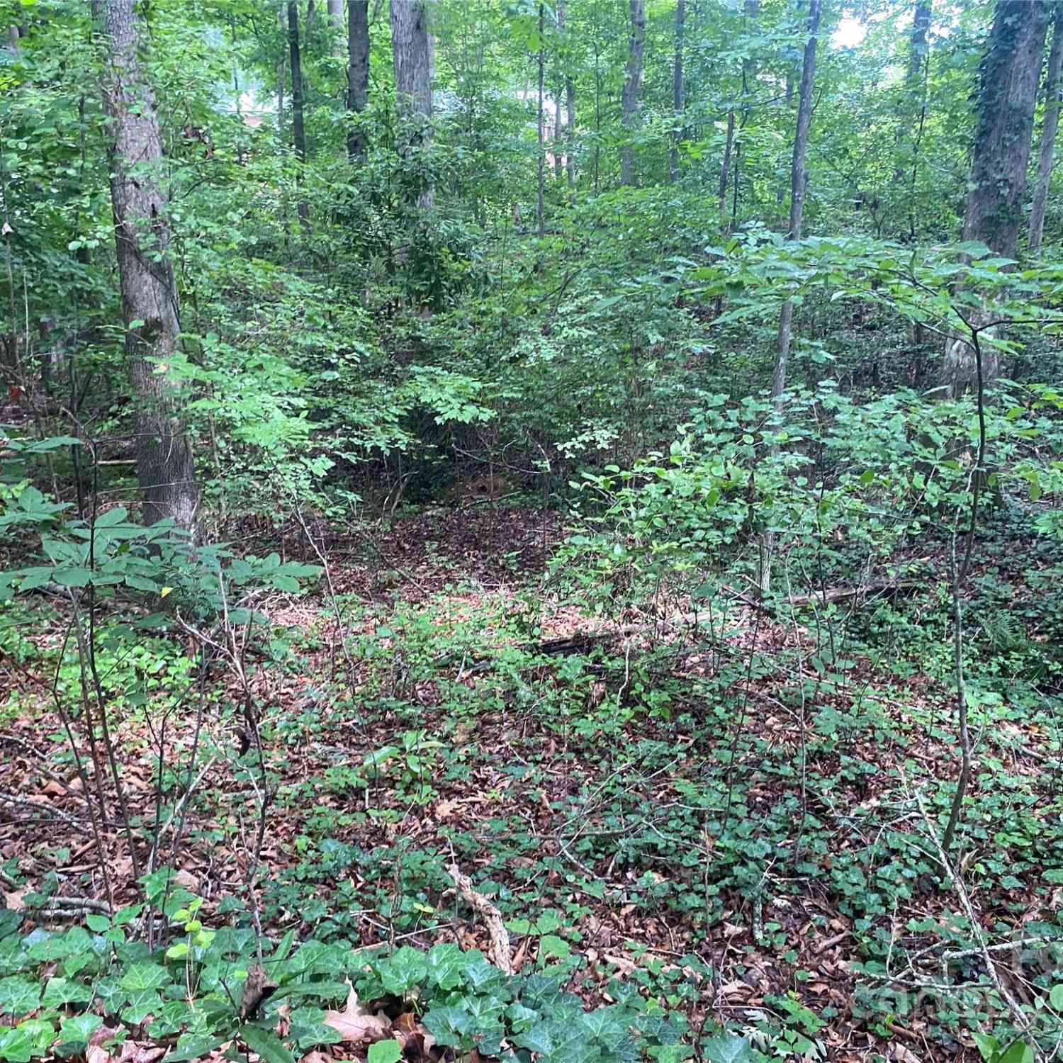 00 Caleb Road, Shelby, North Carolina image 18