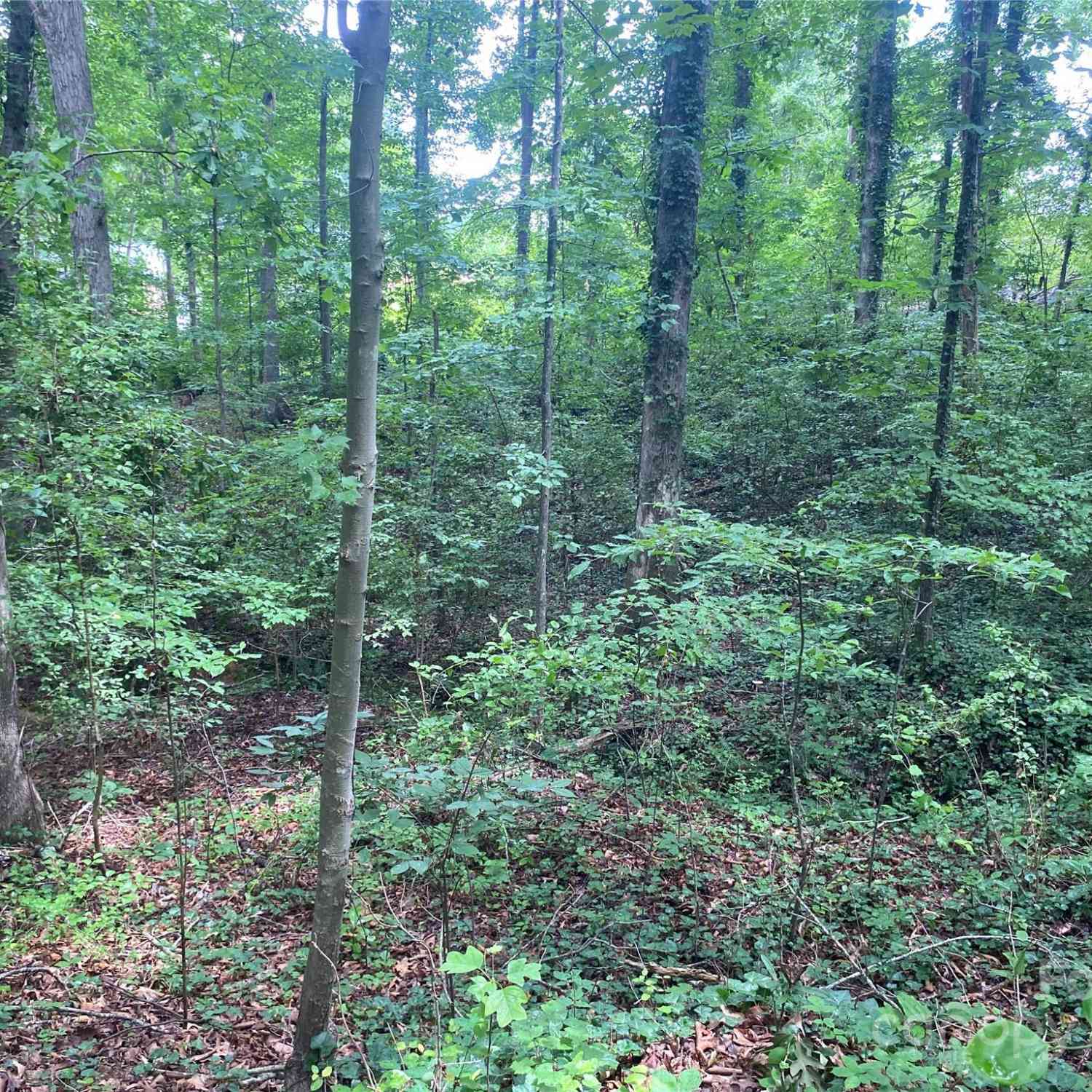 00 Caleb Road, Shelby, North Carolina image 16