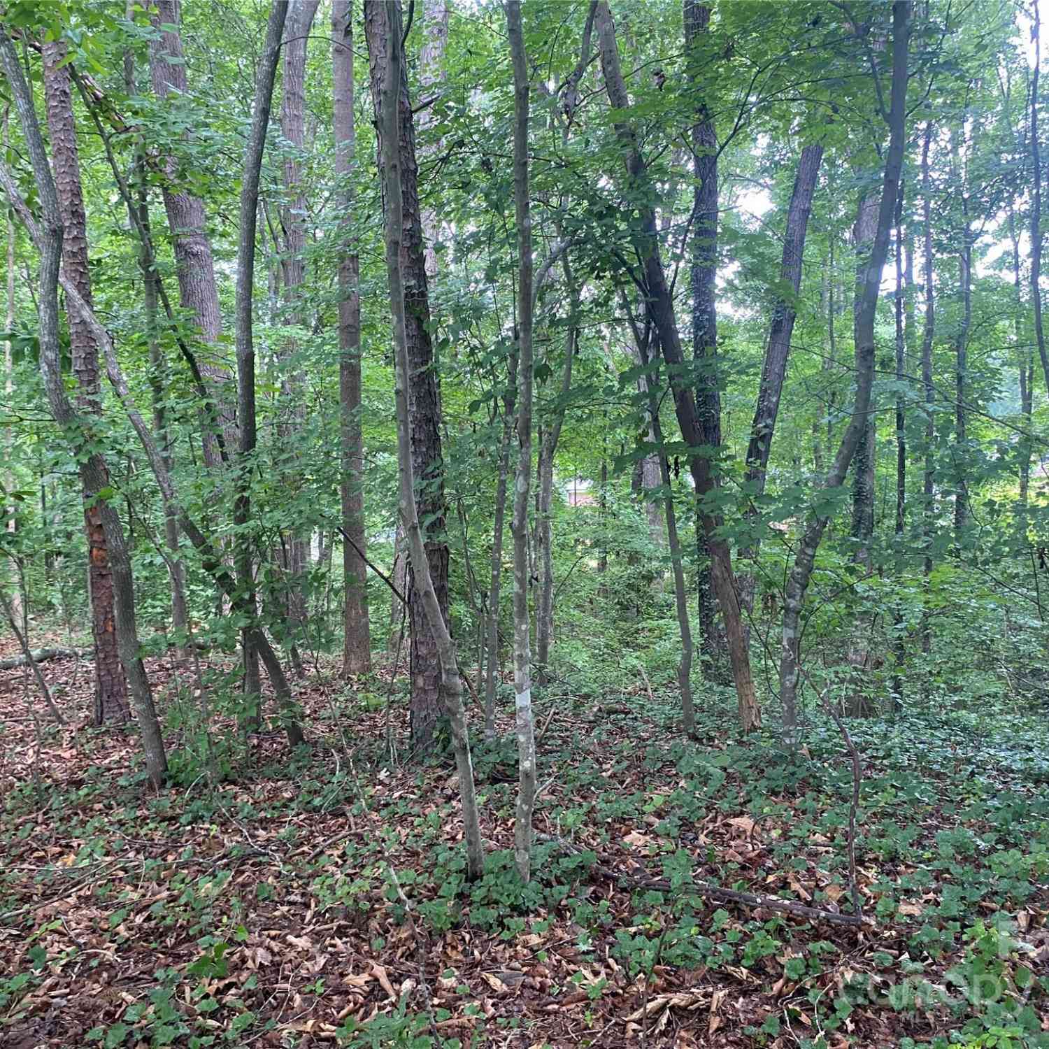 00 Caleb Road, Shelby, North Carolina image 10