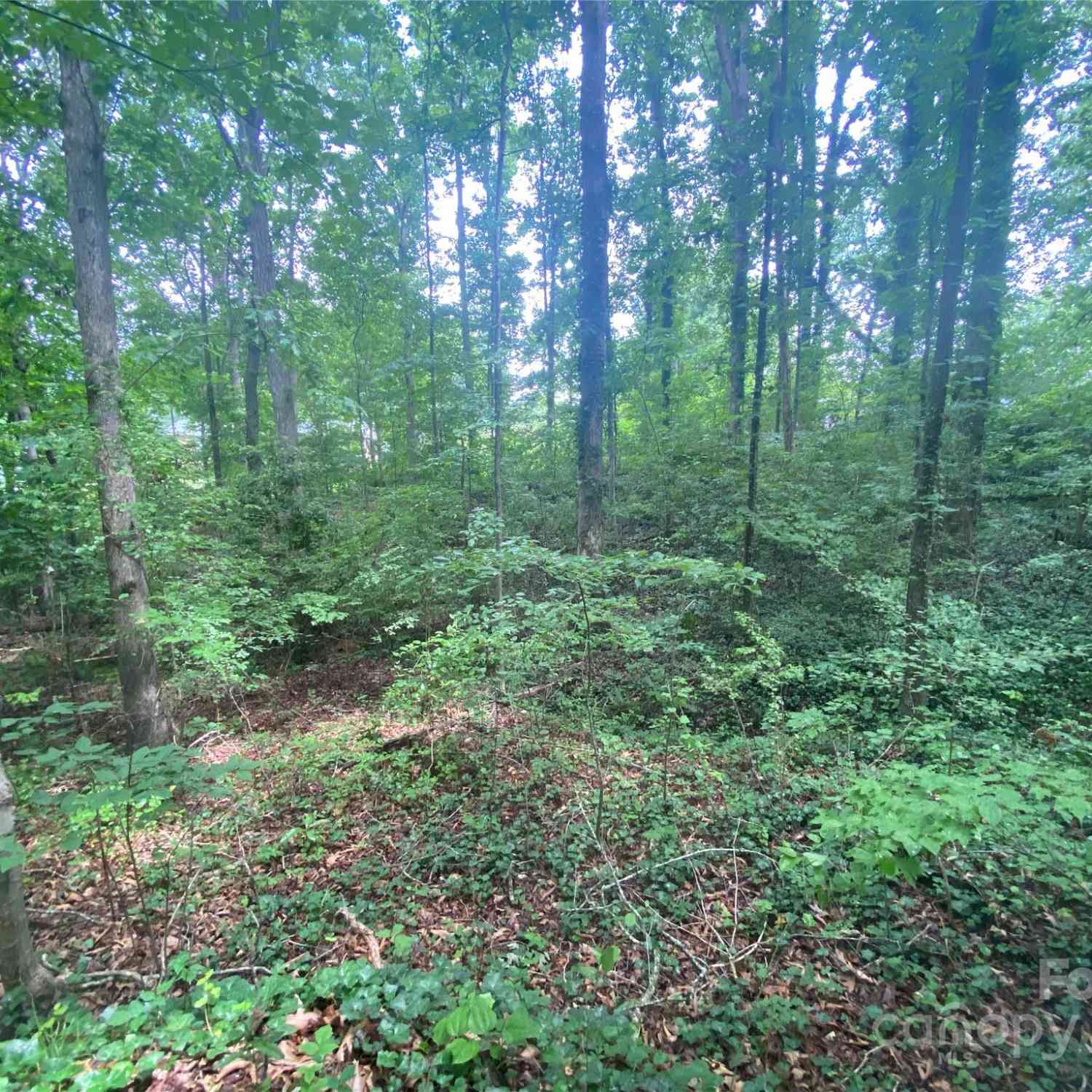 00 Caleb Road, Shelby, North Carolina image 21