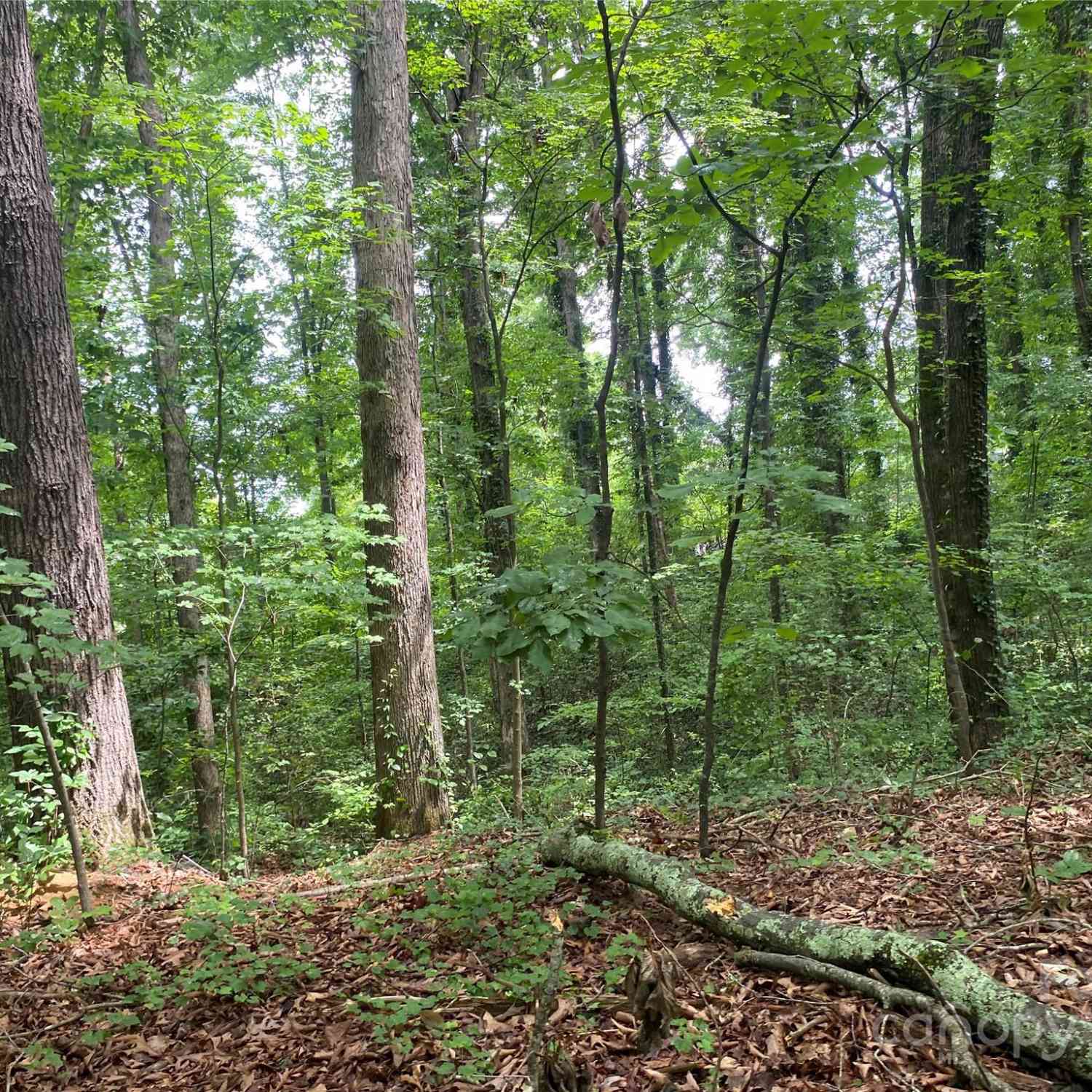 00 Caleb Road, Shelby, North Carolina image 5