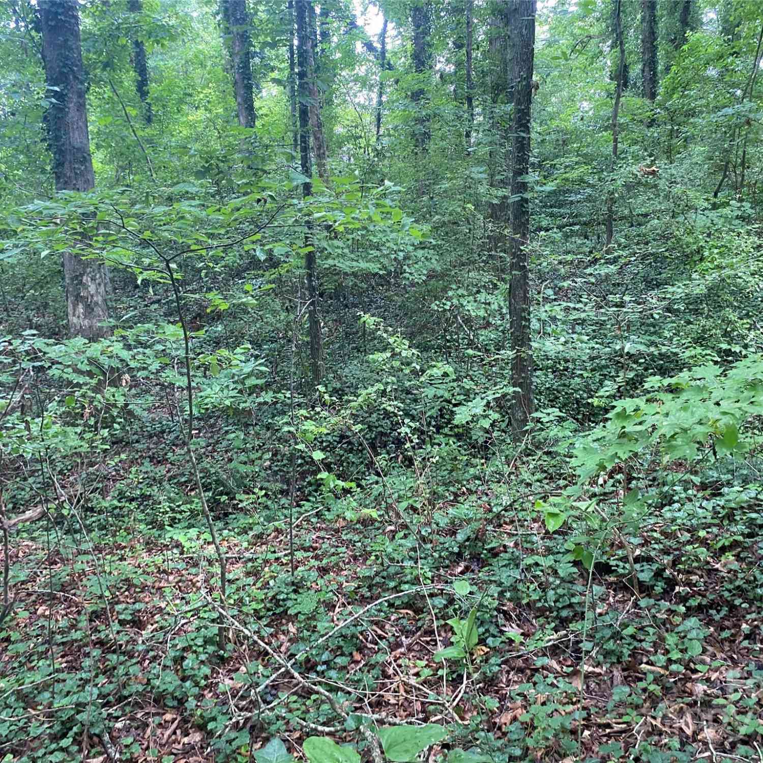 00 Caleb Road, Shelby, North Carolina image 19