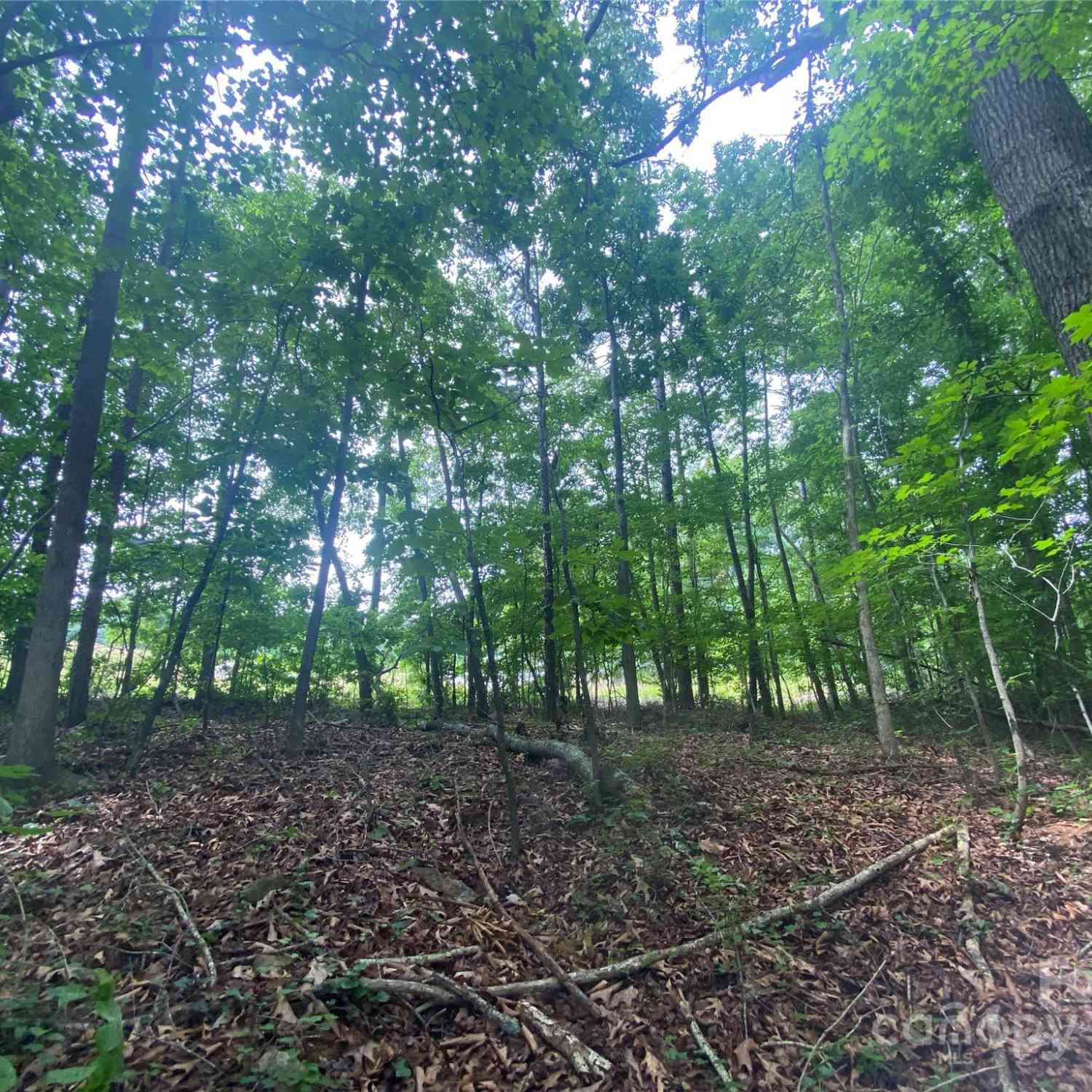 00 Caleb Road, Shelby, North Carolina image 3