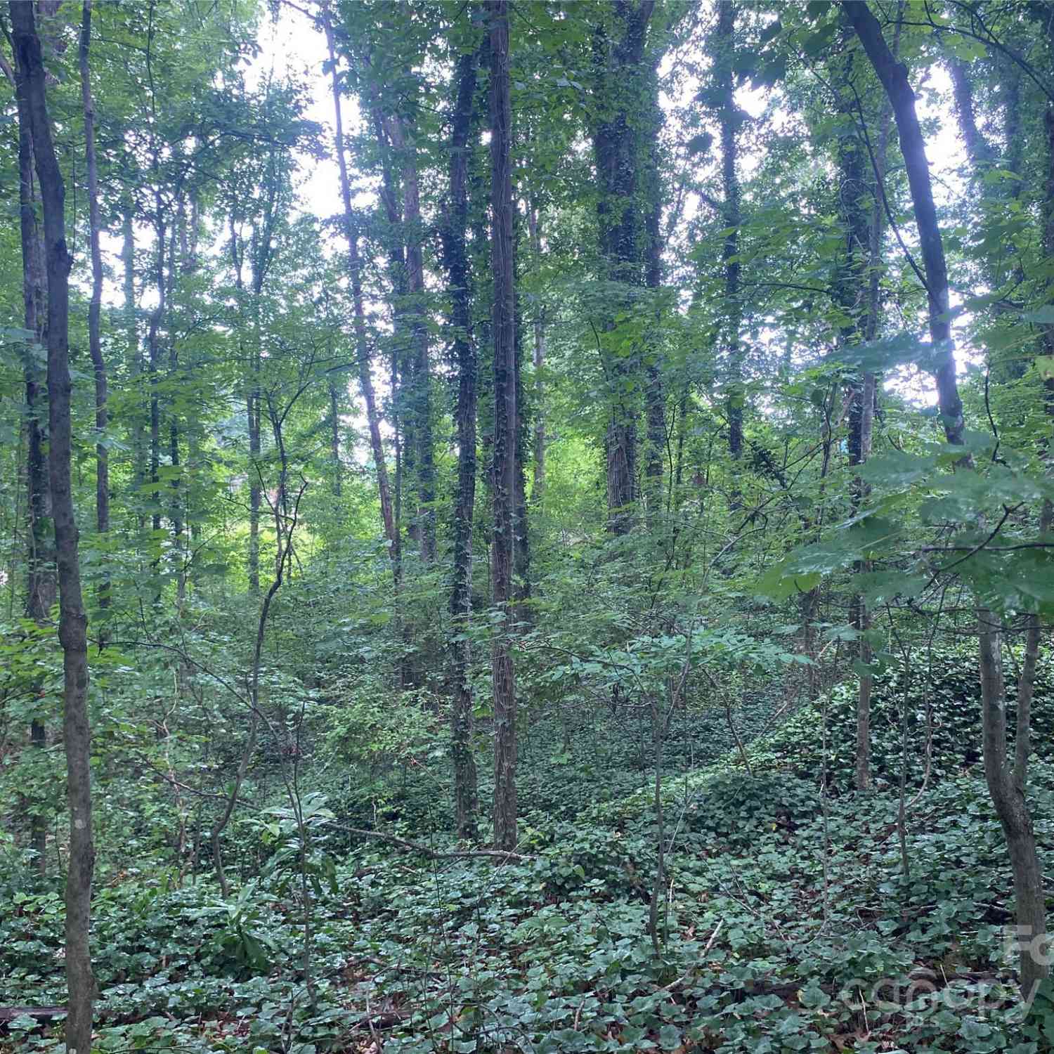 00 Caleb Road, Shelby, North Carolina image 12