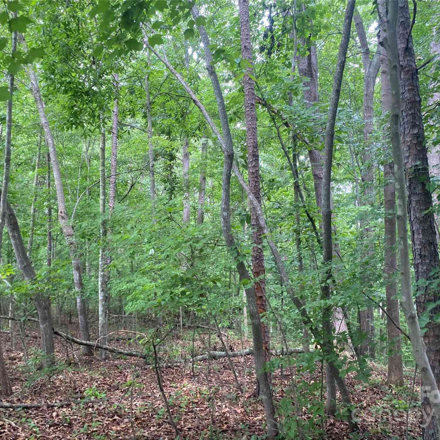 00 Caleb Road, Shelby, North Carolina image 11