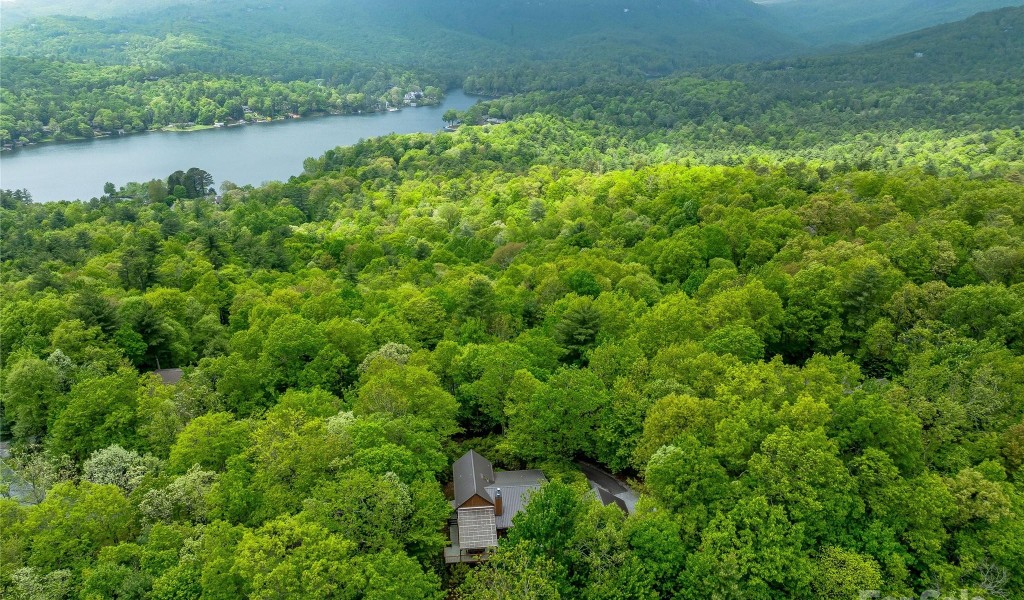 678 Hawk Mountain Road, Lake Toxaway, North Carolina image 3