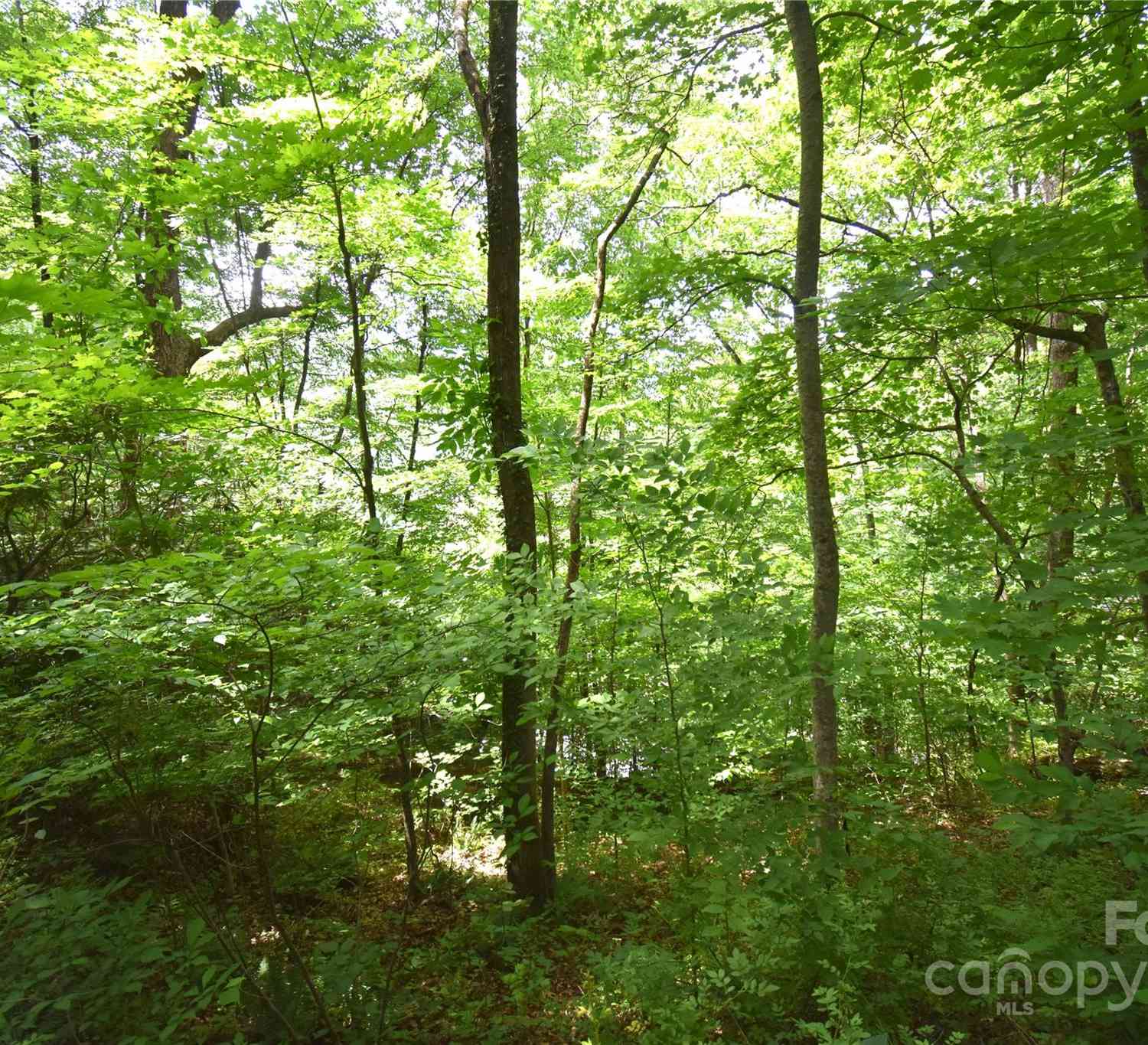 Lots 105&106 Cicada Drive, Maggie Valley, North Carolina image 8