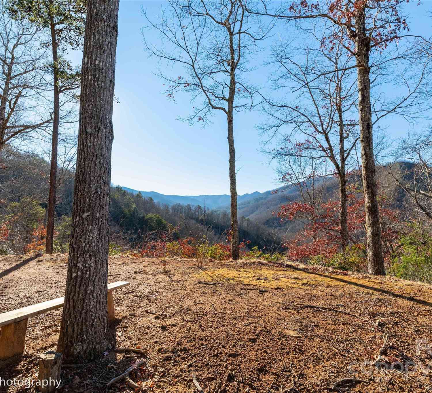 0000 Sourwood Road, Canton, North Carolina image 7