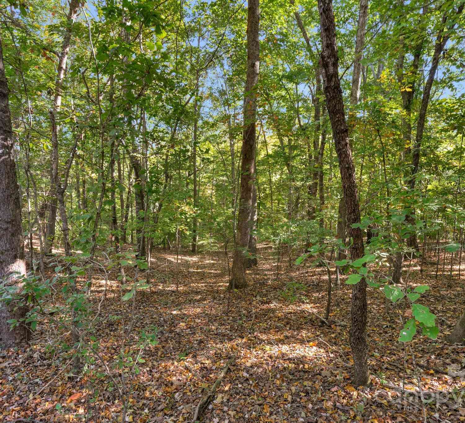 16521 Shallow Pond Road, Charlotte, North Carolina image 8