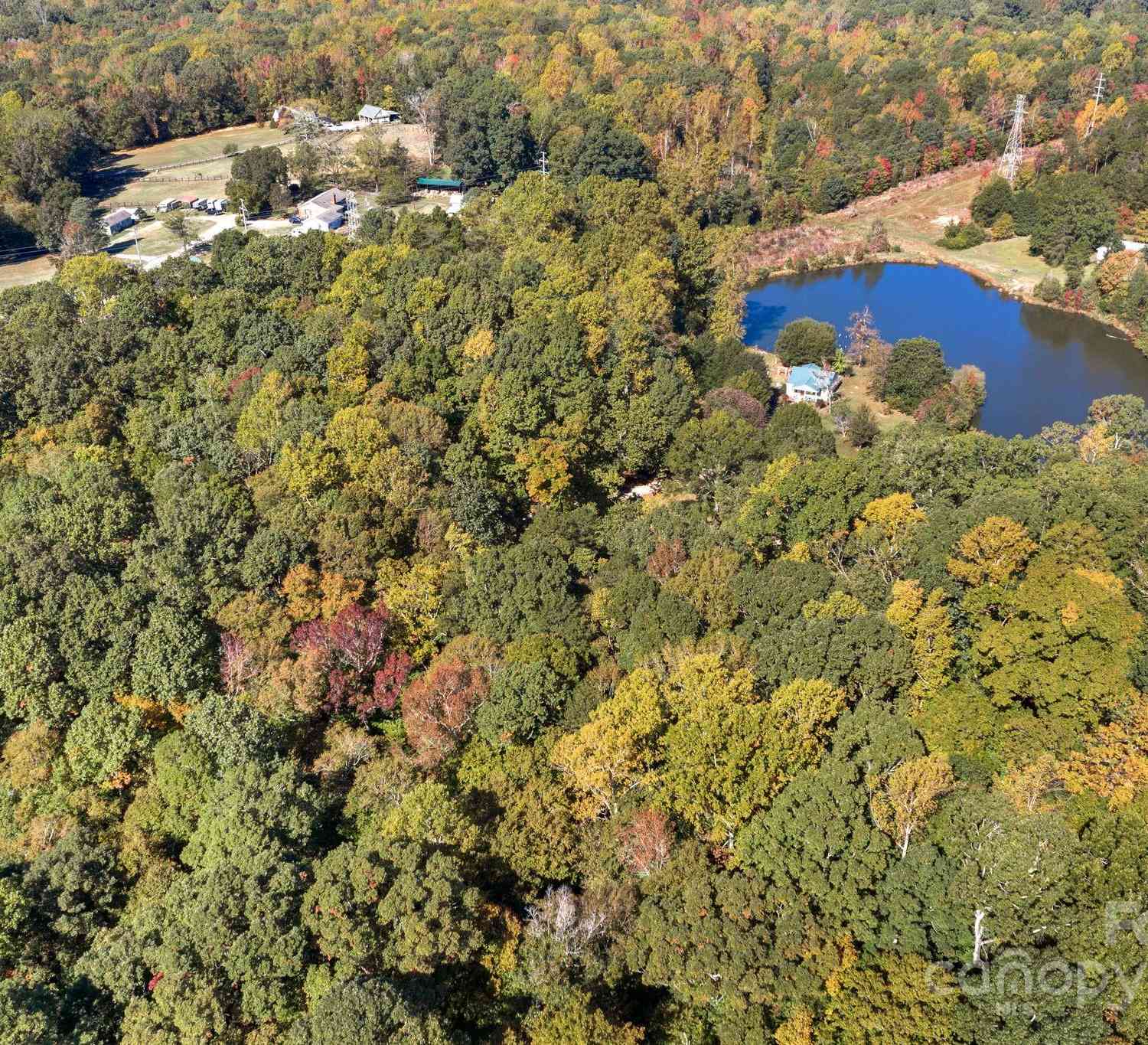 16521 Shallow Pond Road, Charlotte, North Carolina image 6