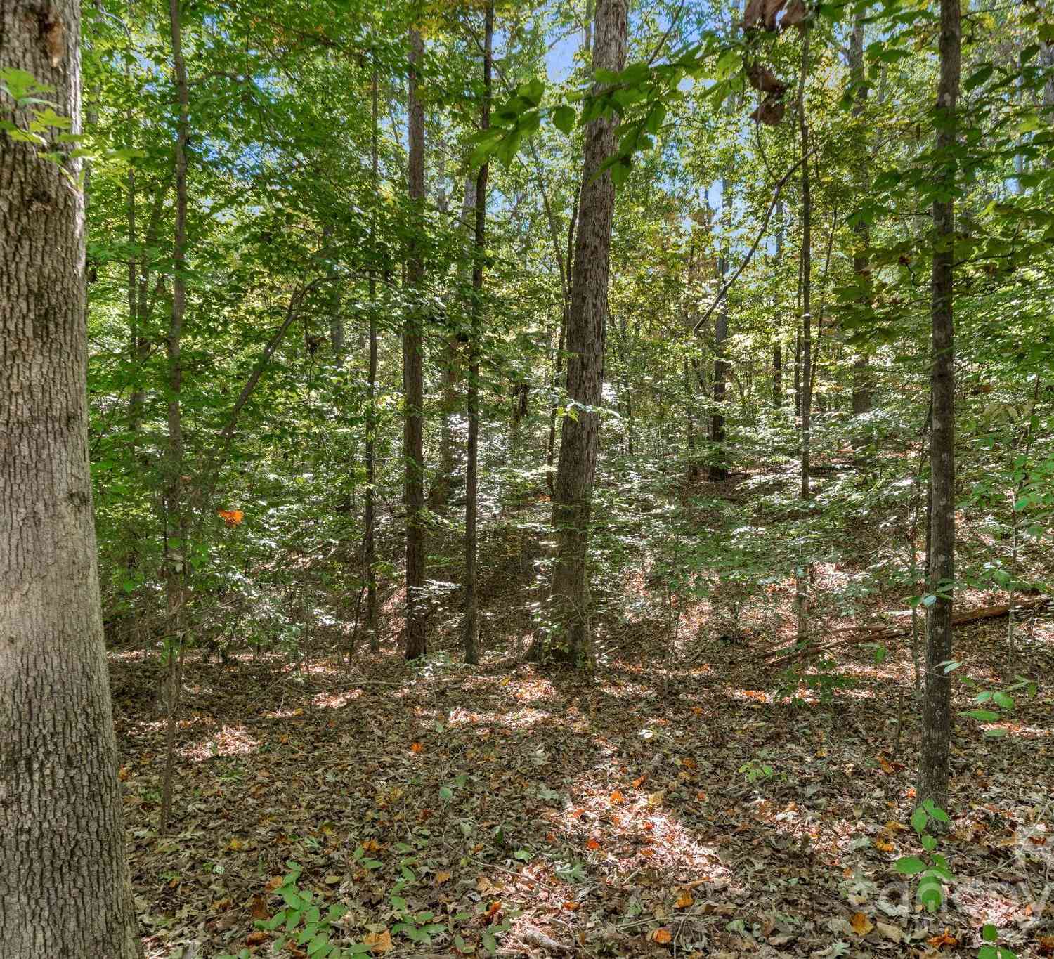16521 Shallow Pond Road, Charlotte, North Carolina image 19