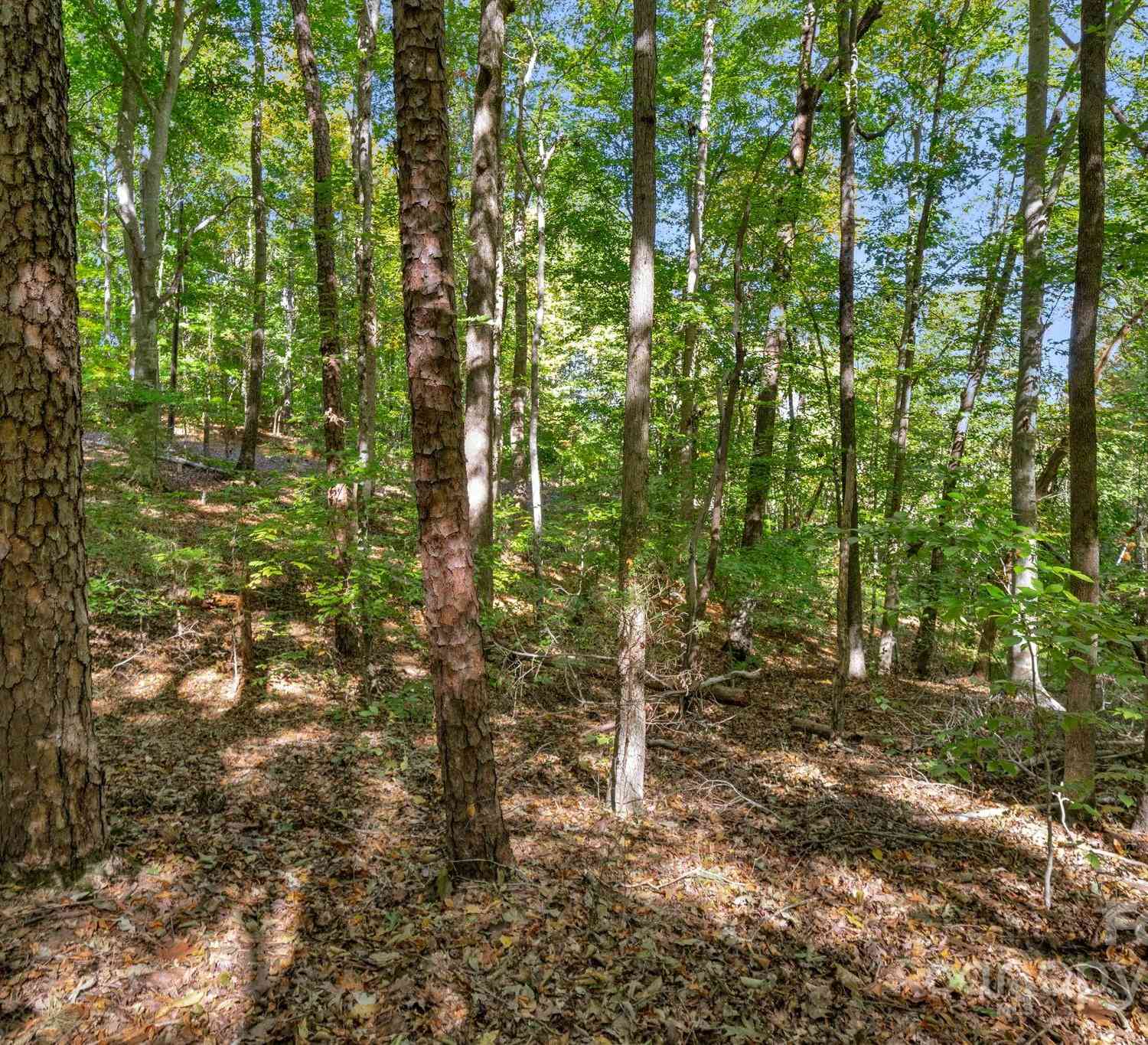 16521 Shallow Pond Road, Charlotte, North Carolina image 11
