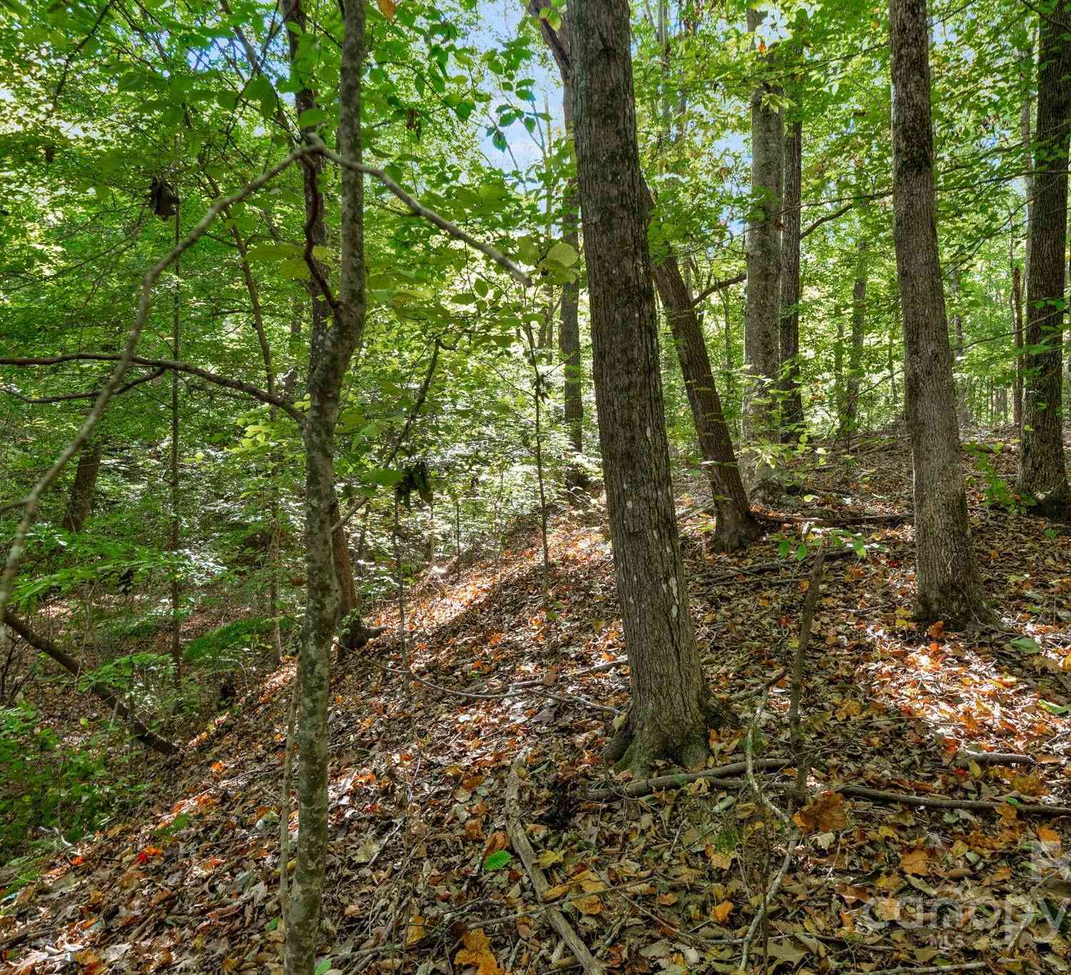 16521 Shallow Pond Road, Charlotte, North Carolina image 7