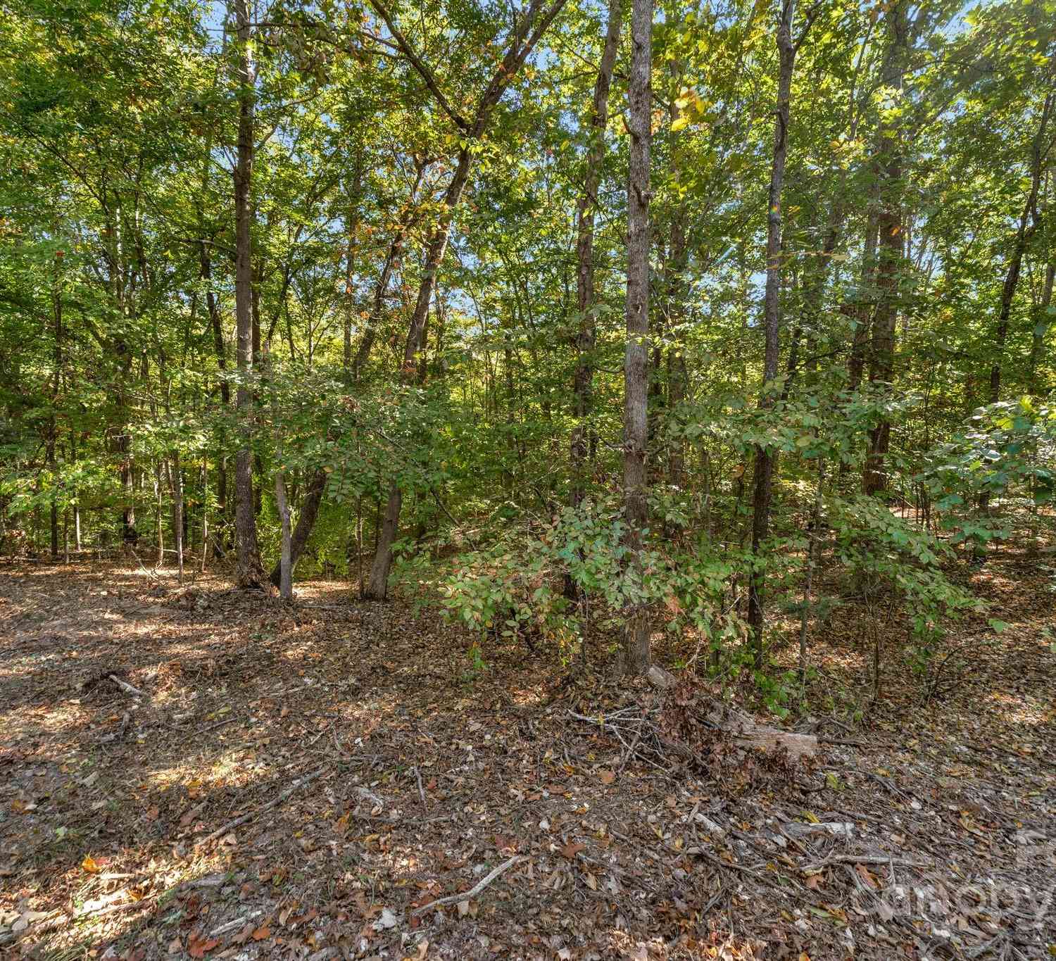 16521 Shallow Pond Road, Charlotte, North Carolina image 5
