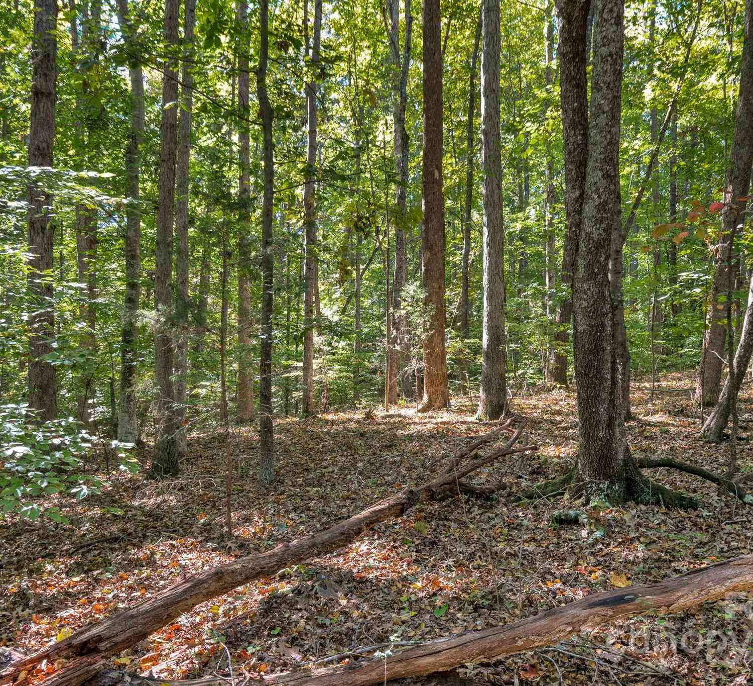 16521 Shallow Pond Road, Charlotte, North Carolina image 16