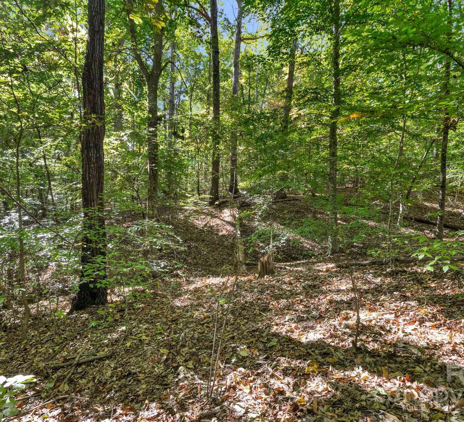 16521 Shallow Pond Road, Charlotte, North Carolina image 9